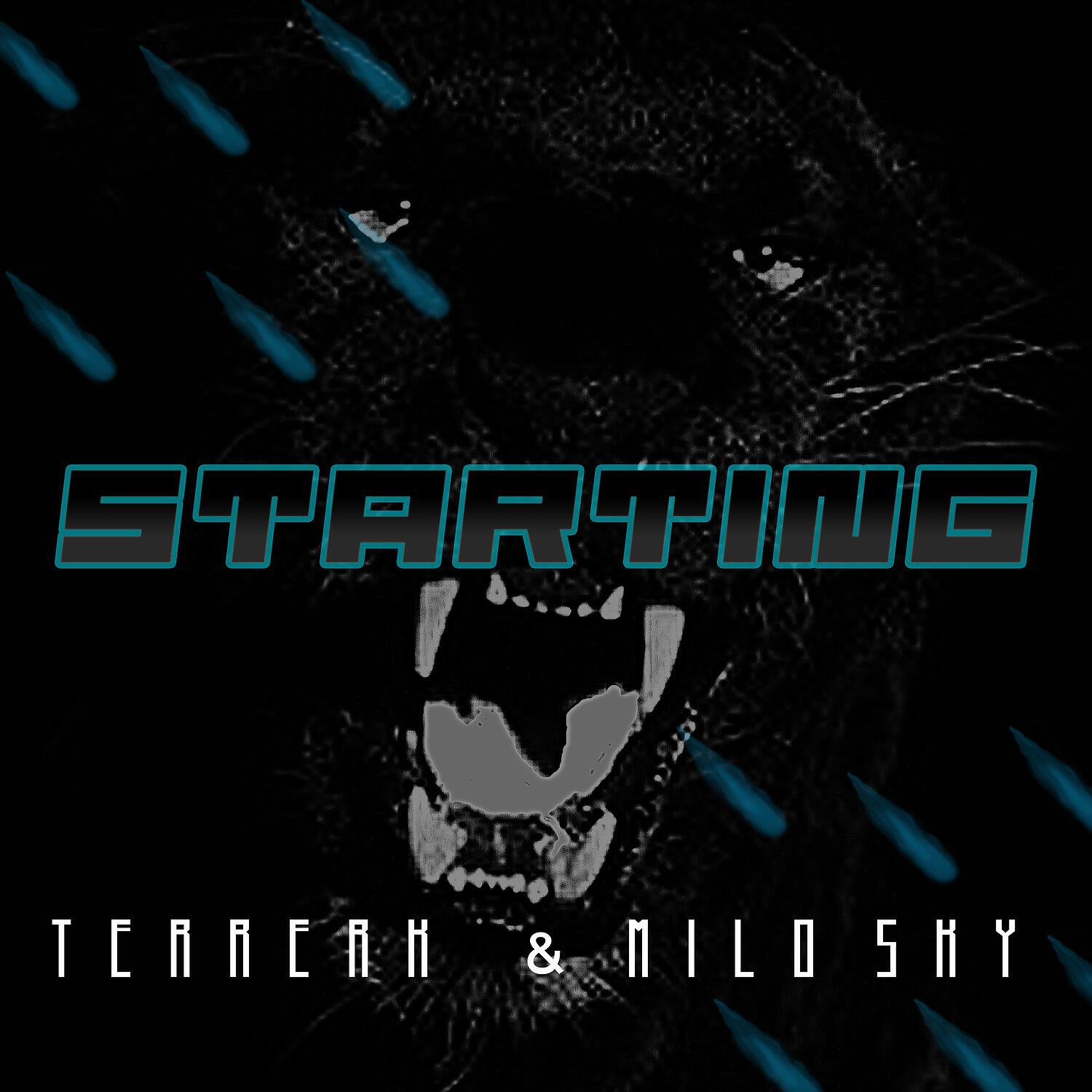 Релиз Starting