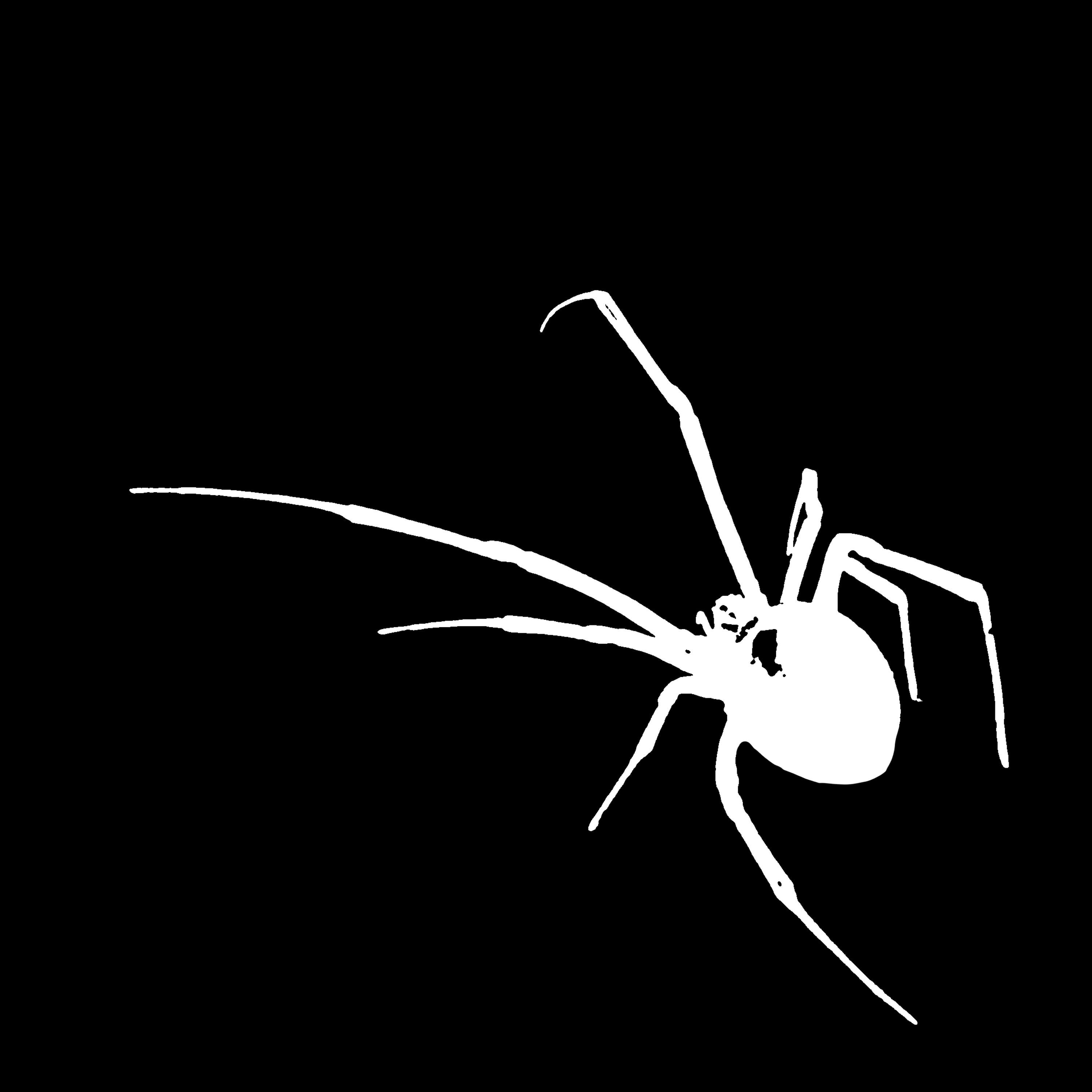 Релиз eat me !