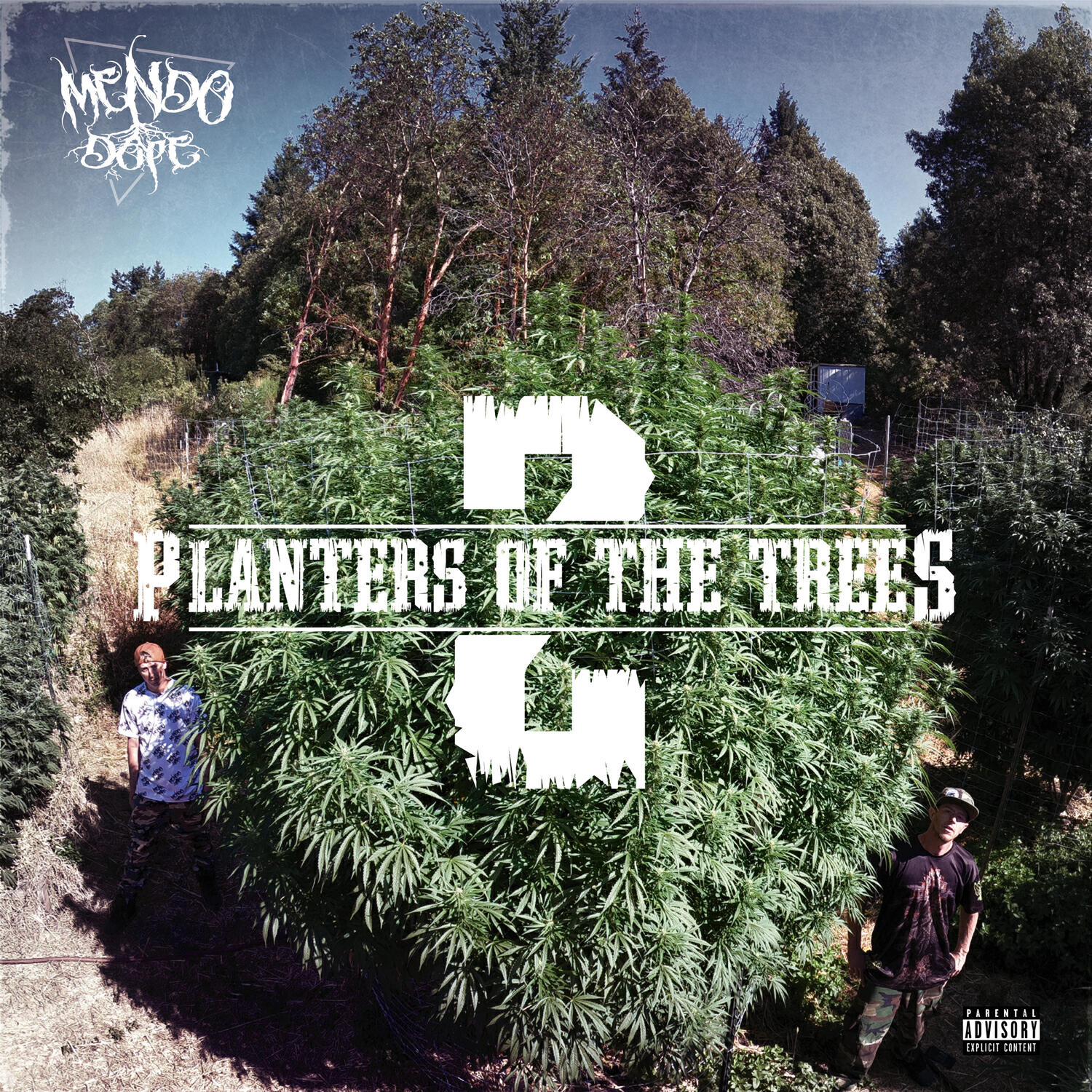 Релиз Planters Of The Trees 2