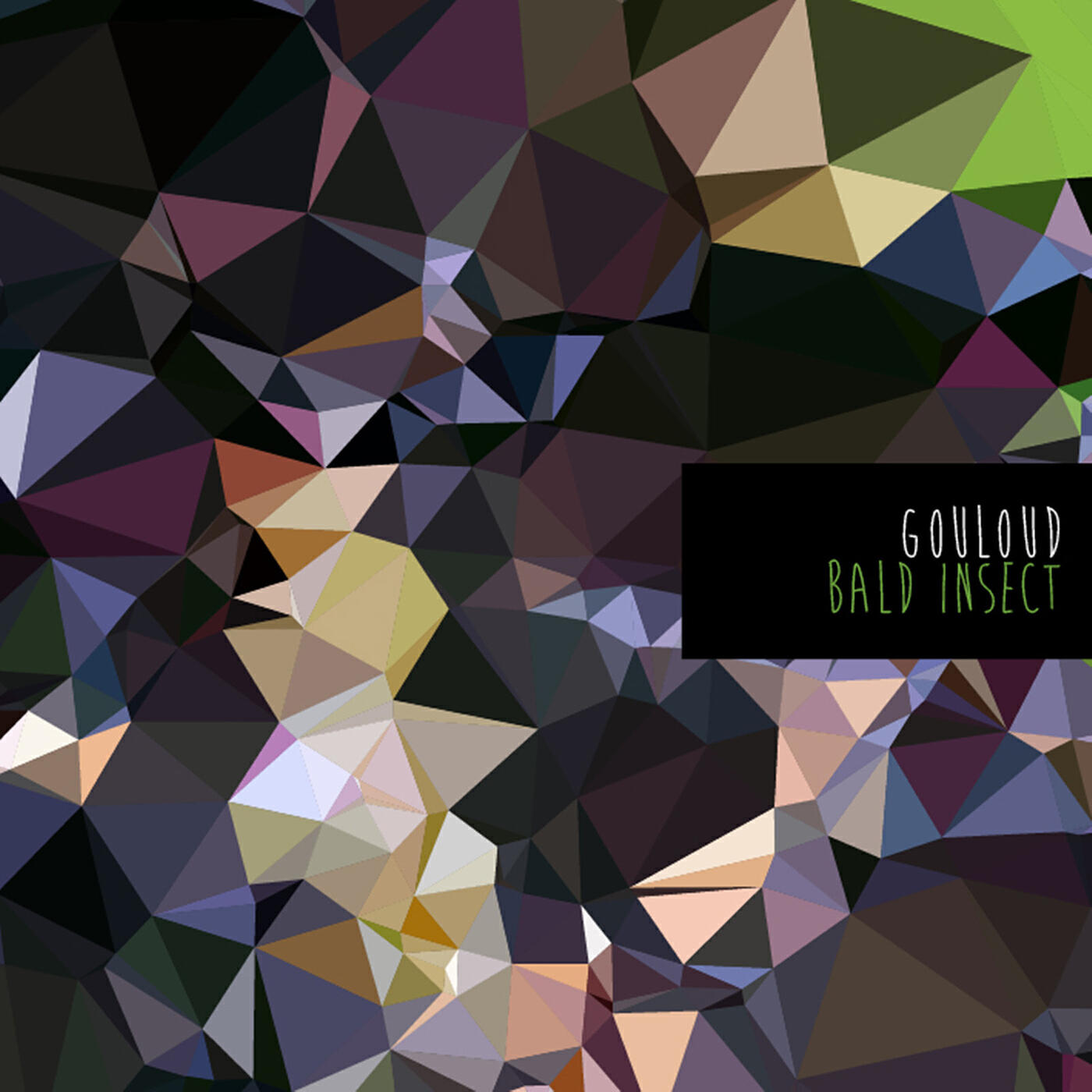 Релиз The Bald Insect