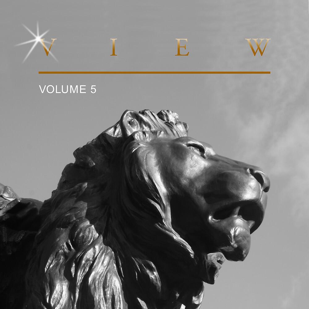 Релиз View, Vol. 5
