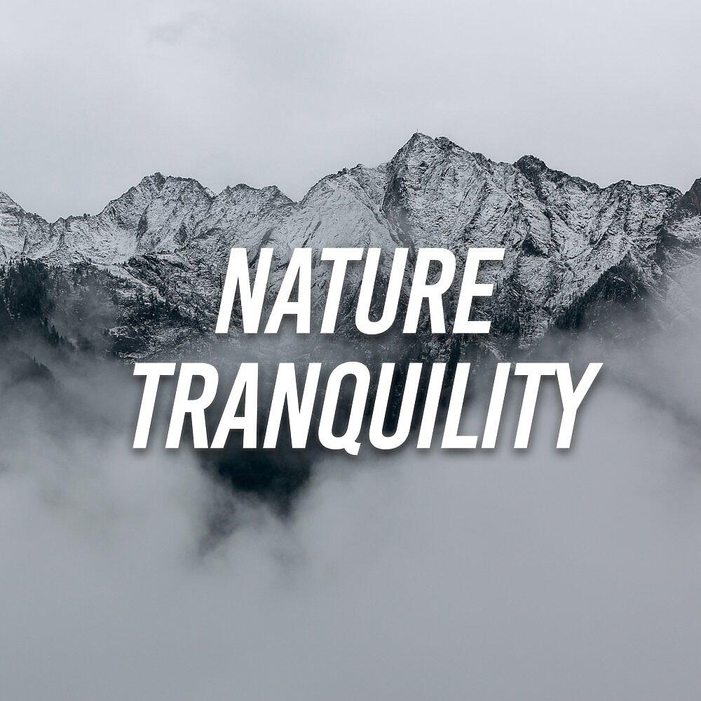 Релиз Nature Tranquility