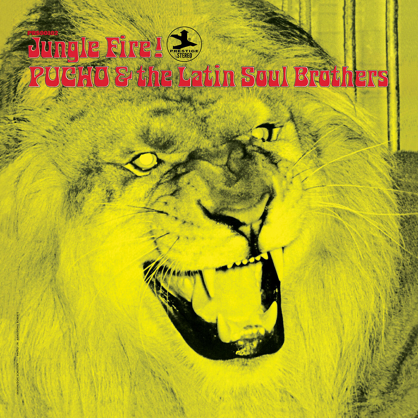 Релиз Jungle Fire!