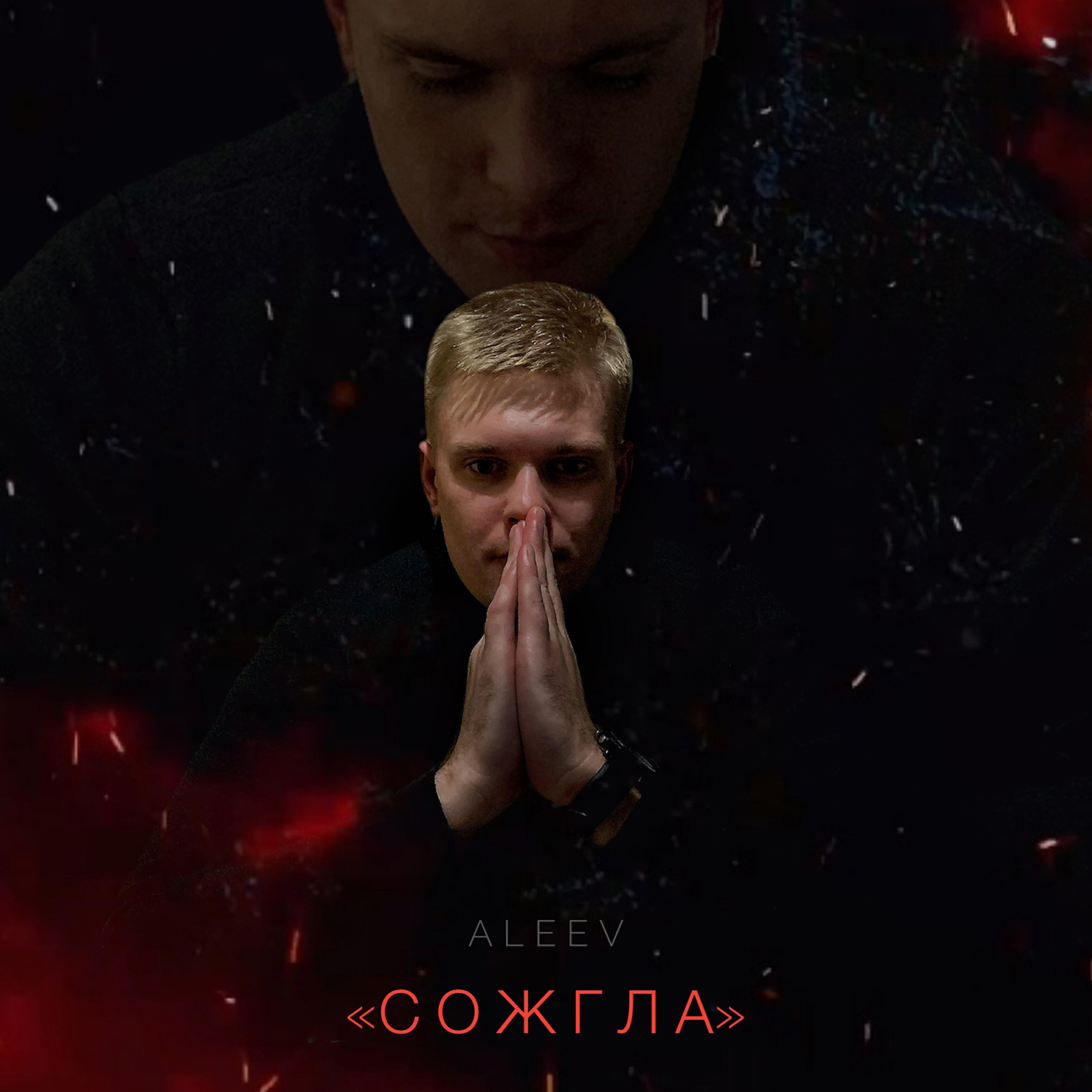 Релиз Сожгла