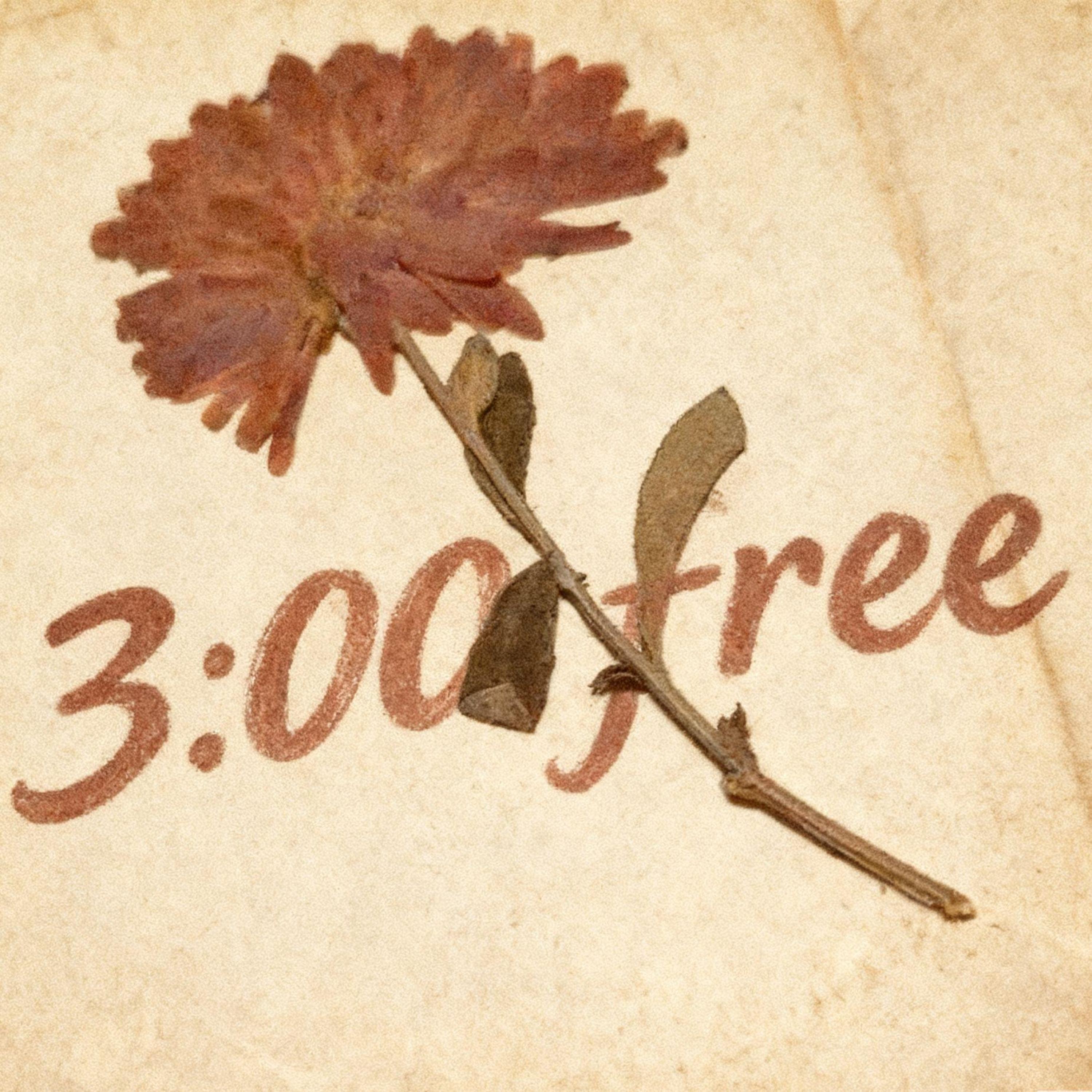 Релиз 三点Free