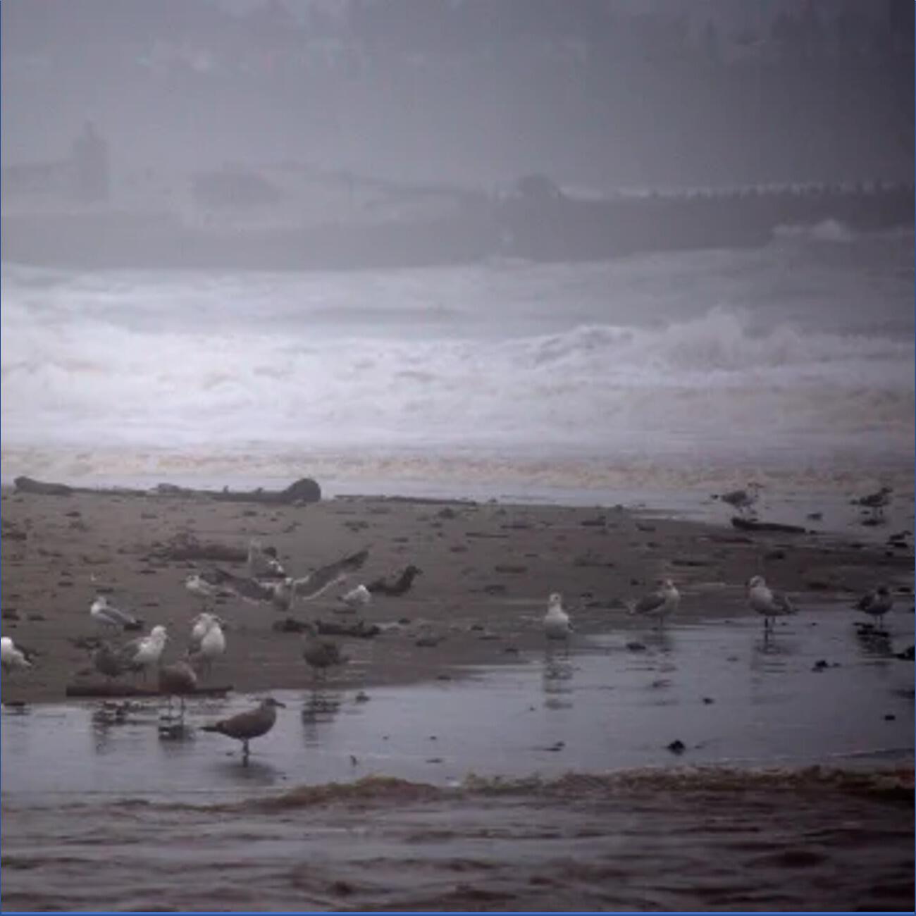 Постер альбома A Rainy Day at the Beach