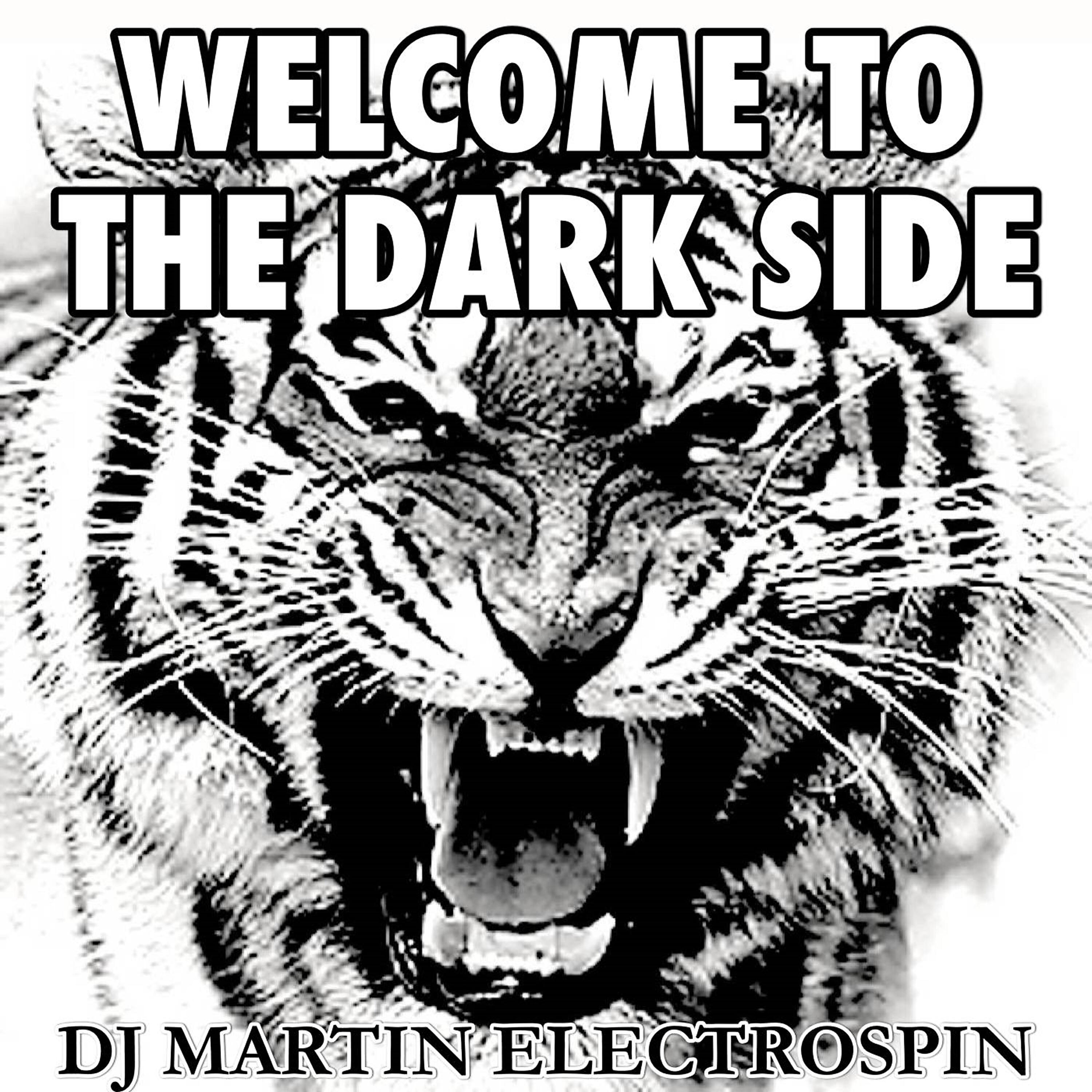 DJ Martin ElectroSpin