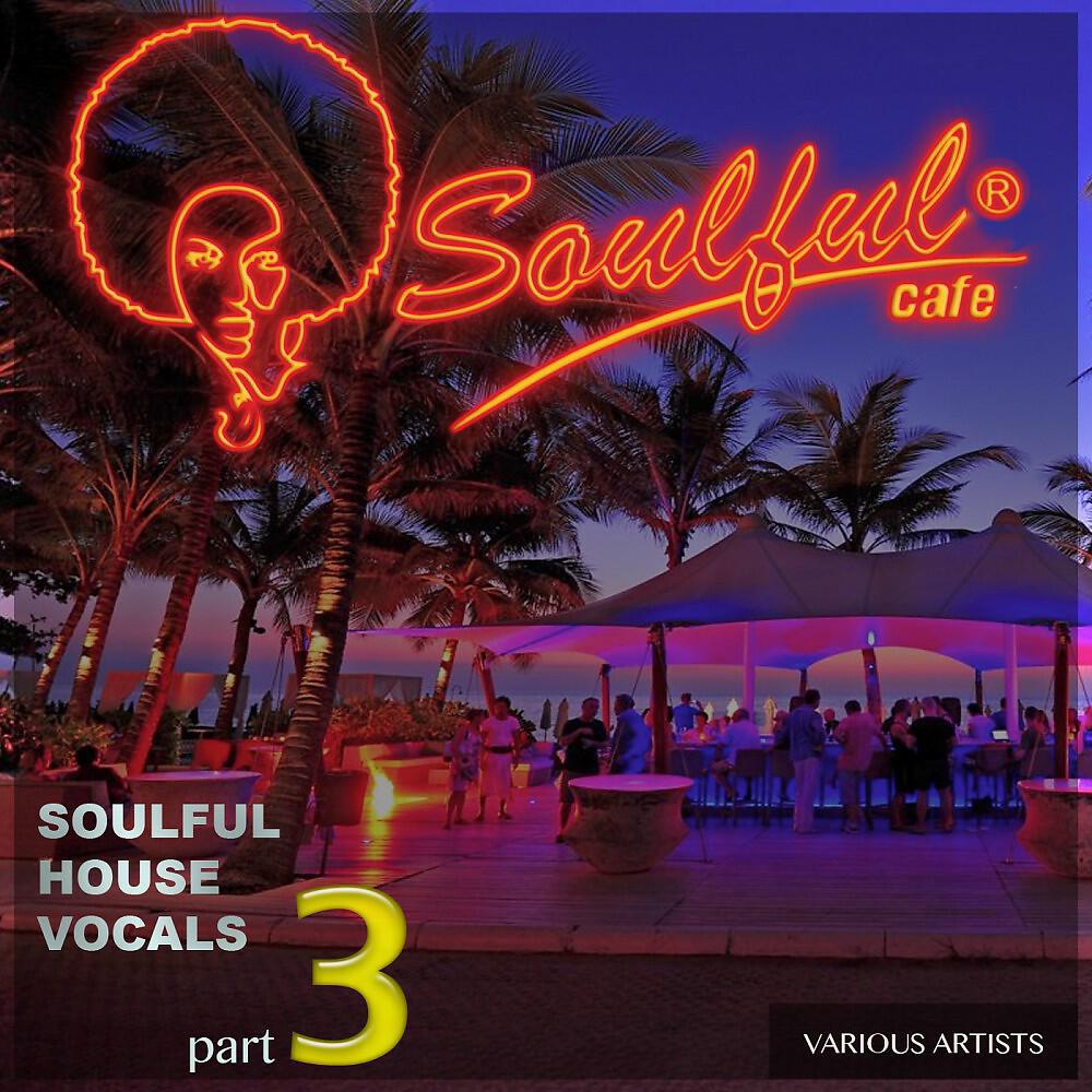 Релиз Soulful House Vocals, Pt. 3