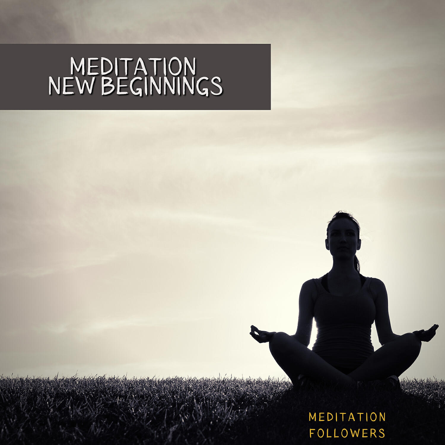Релиз Meditation New Beginnings
