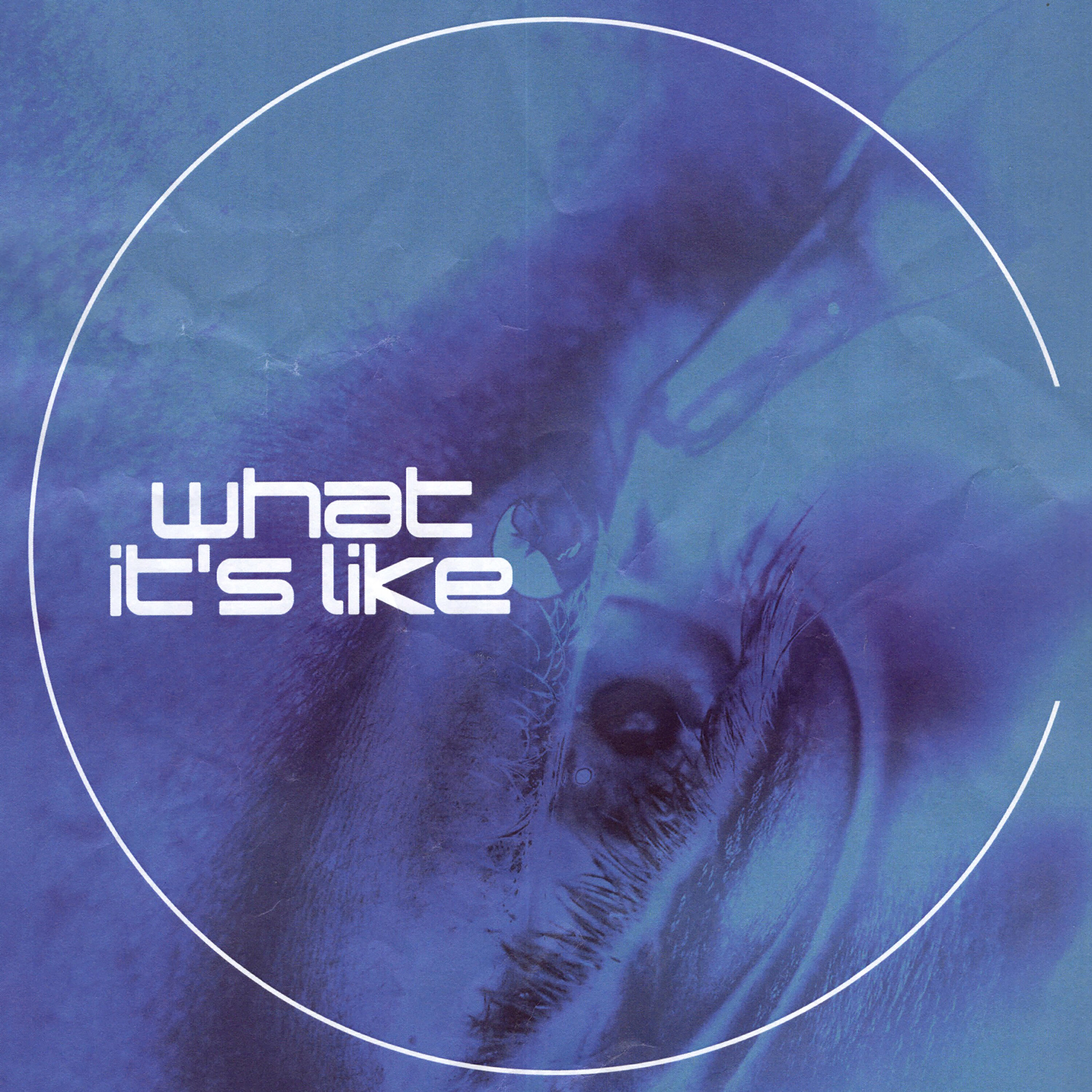 Релиз What It's Like