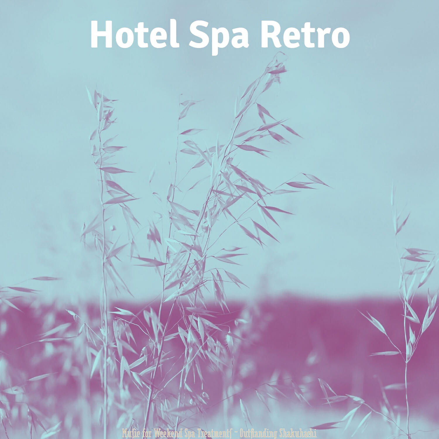 Hotel Spa Retro