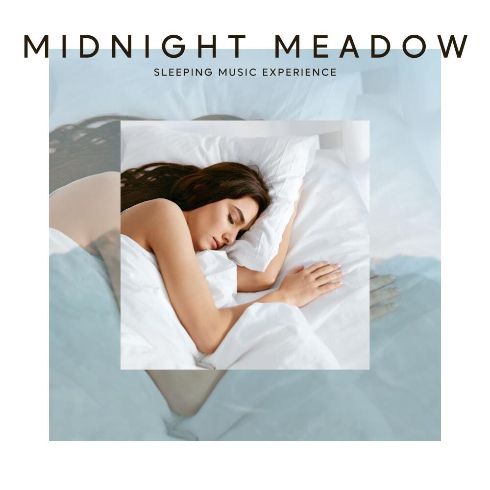 Релиз Midnight Meadow: Deep Sleep Music