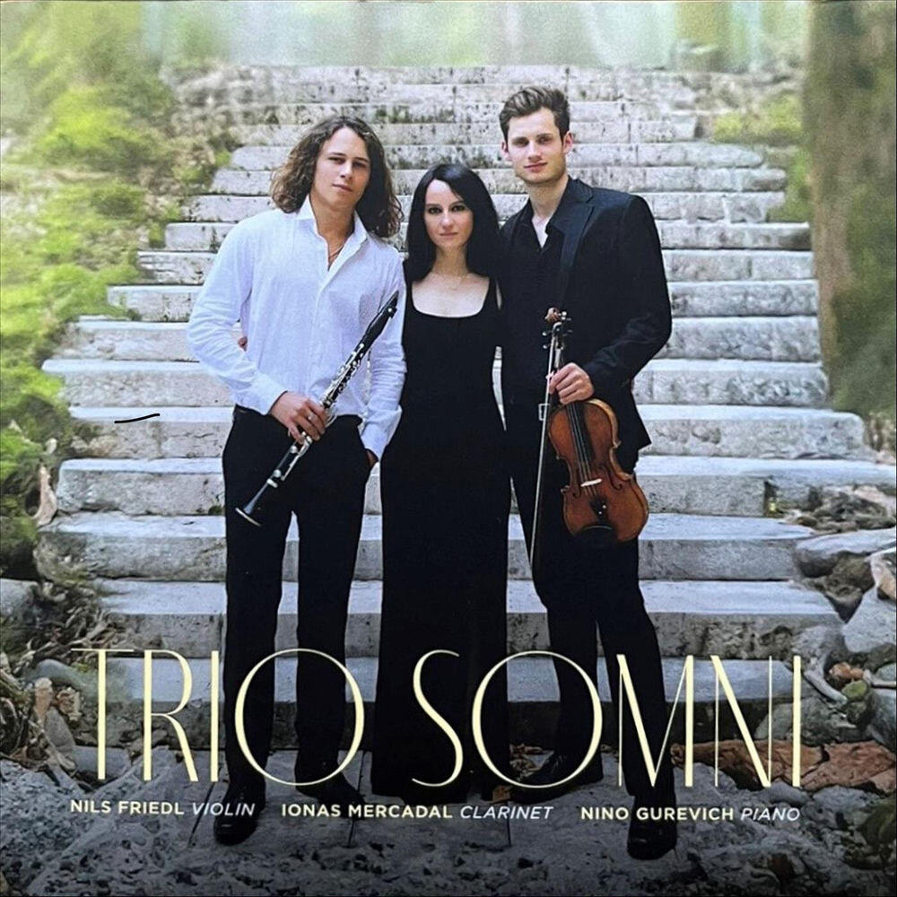 Релиз Trio Somni
