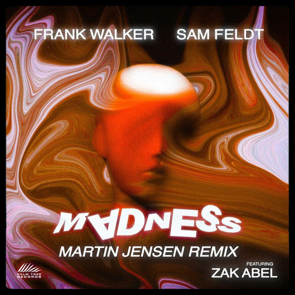 Релиз Madness (feat. Zak Abel) [Martin Jensen Remix]