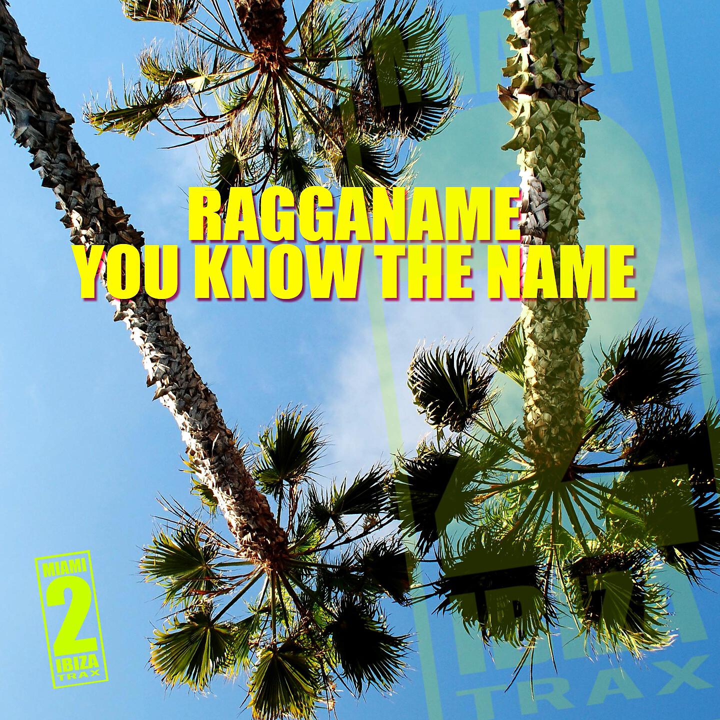 Релиз You Know the Name