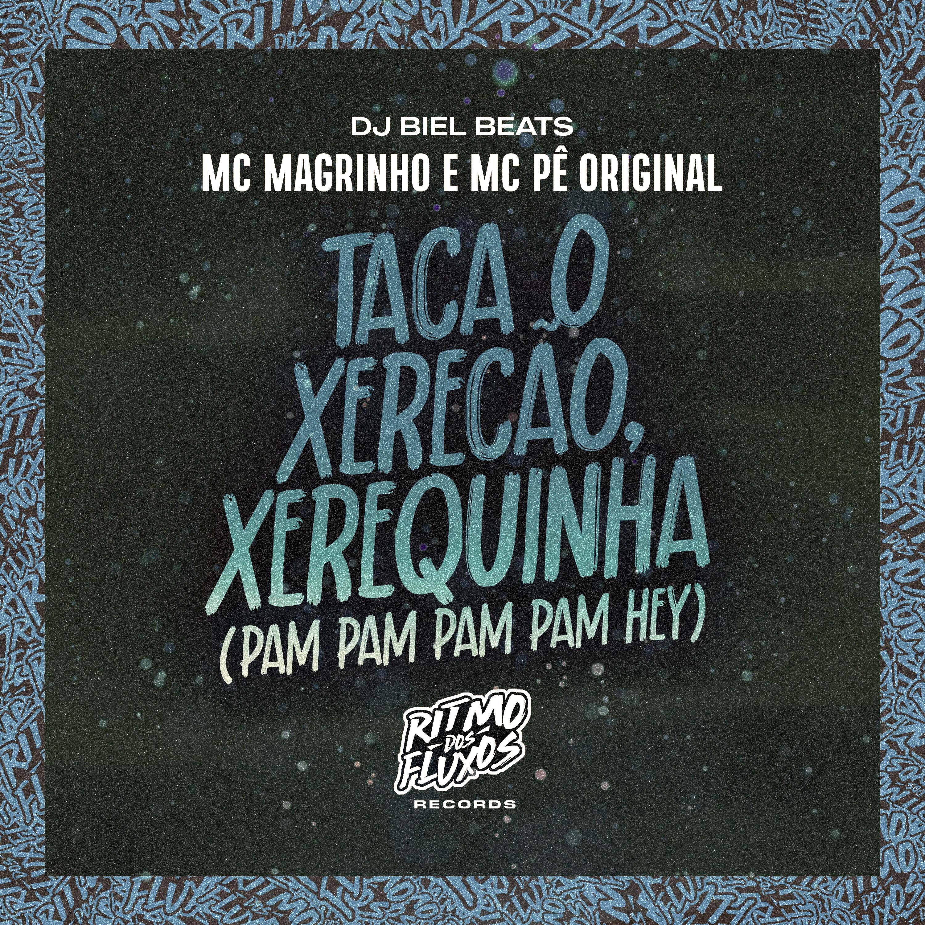 Релиз Taca o Xerecão, Xerequinha (Pam Pam Pam Pam Hey)