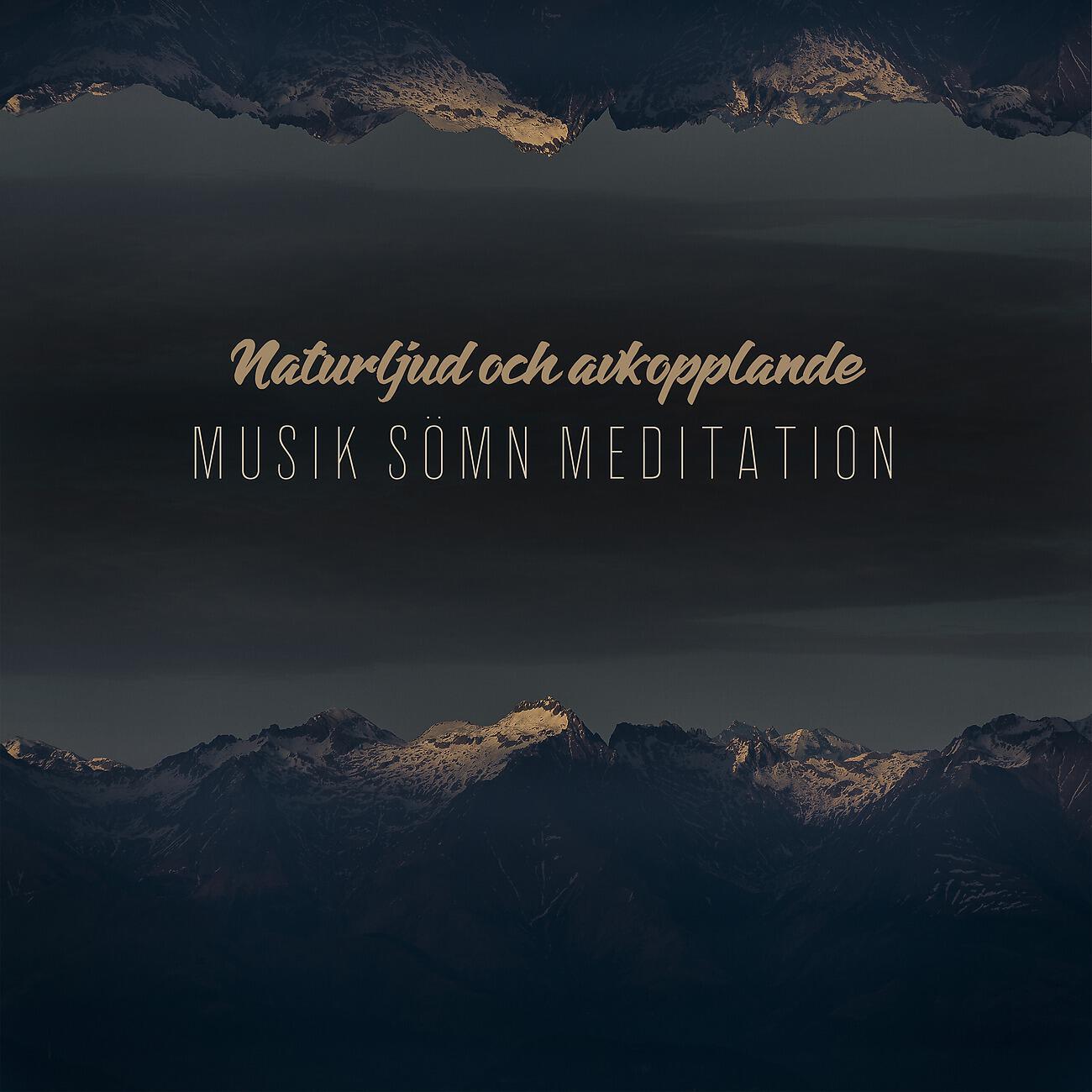 Релиз Naturljud och avkopplande Musik Sömn Meditation