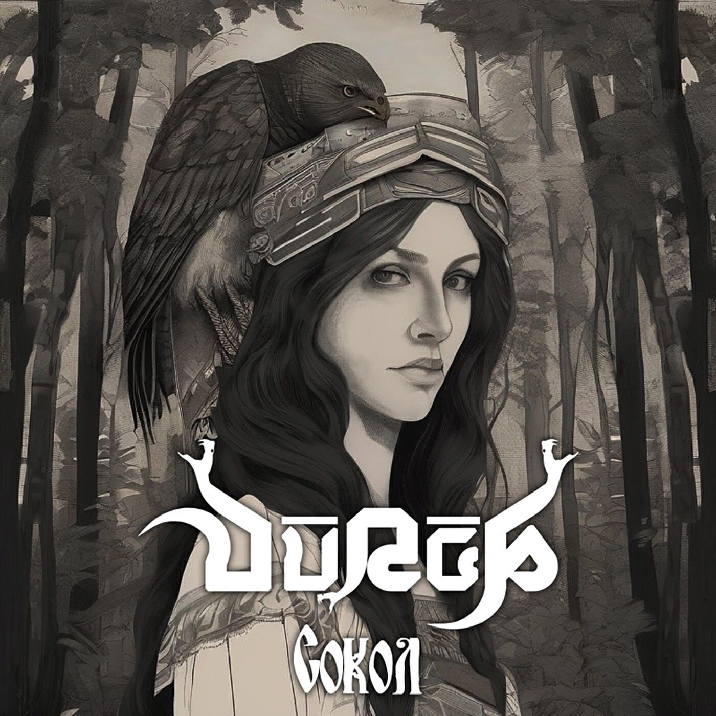 Релиз Сокол