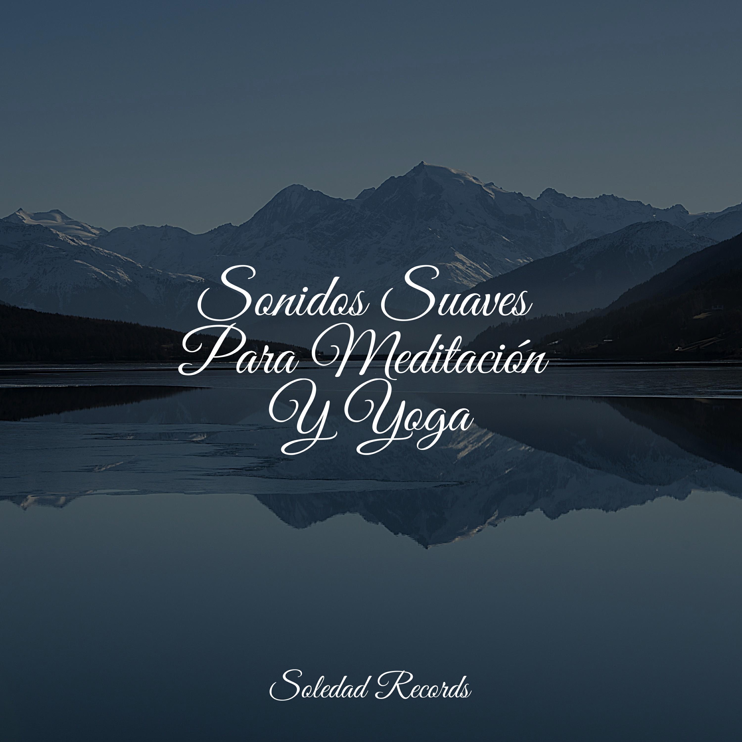Релиз Sonidos Suaves Para Meditación Y Yoga