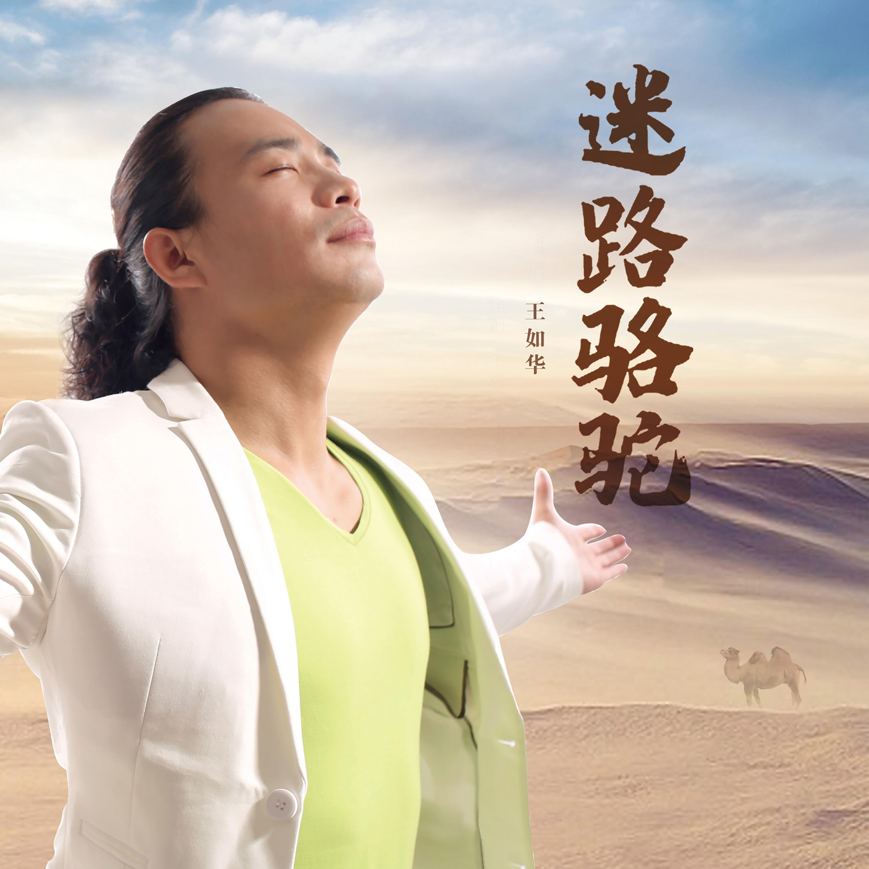 Релиз 迷路骆驼
