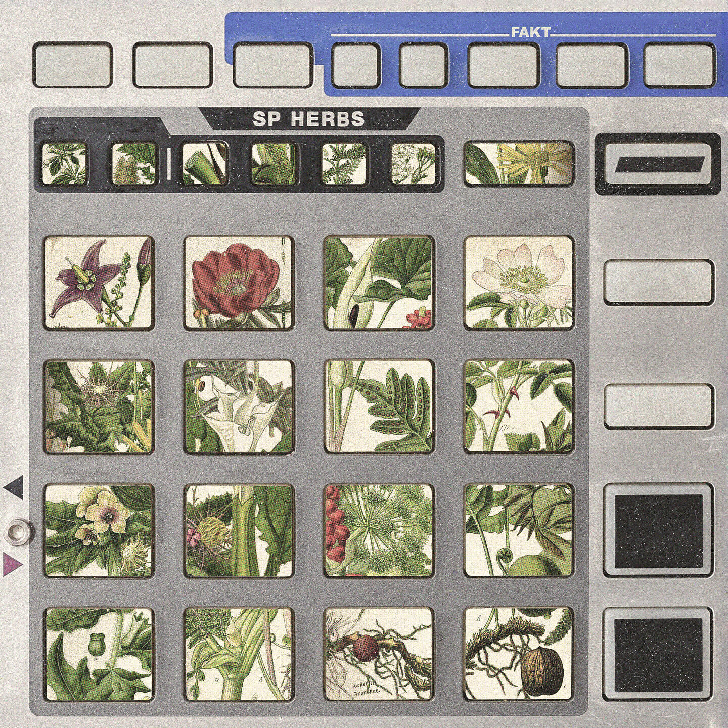 Релиз SP Herbs