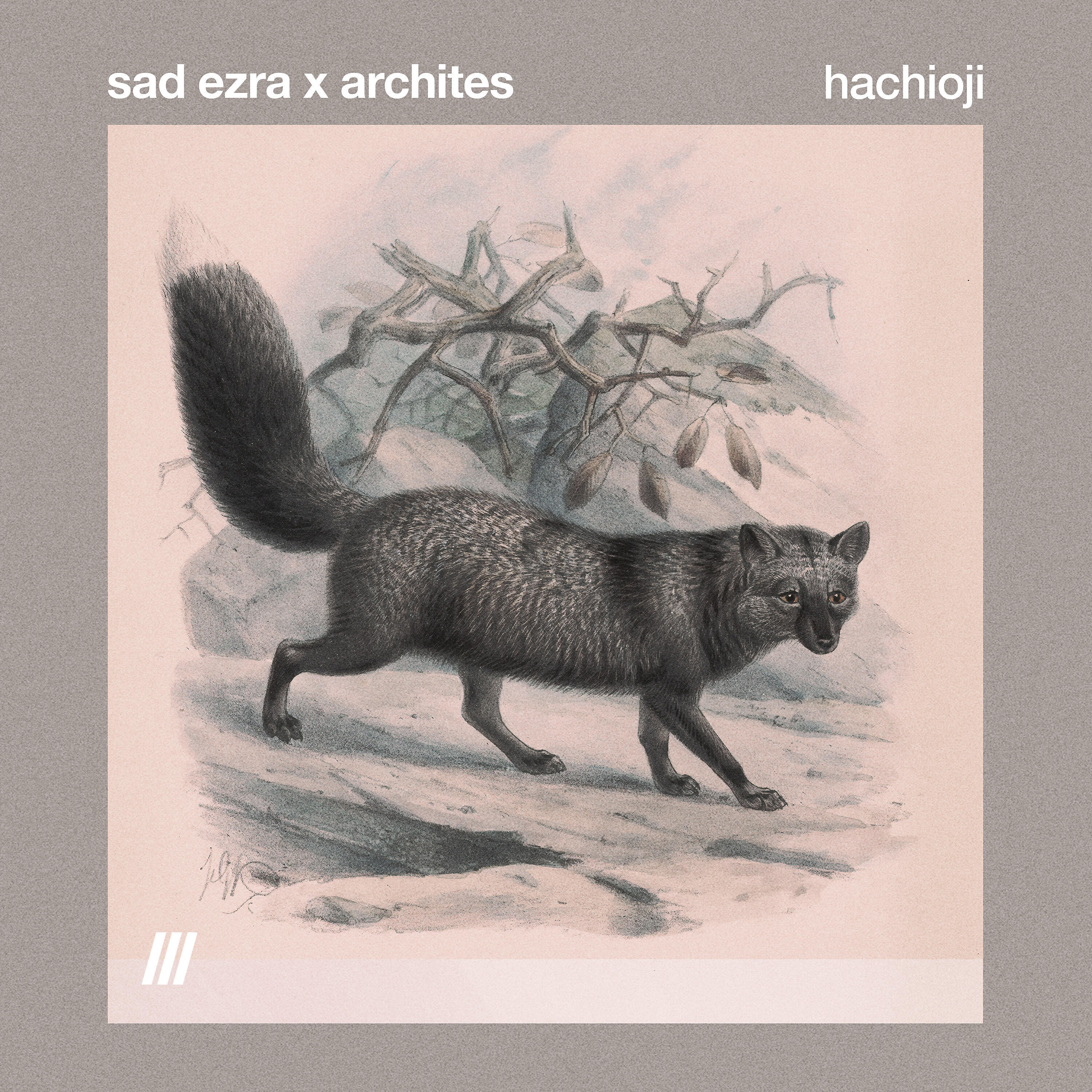 Релиз hachioji