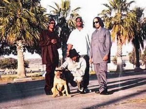 New Breed of Hustlas