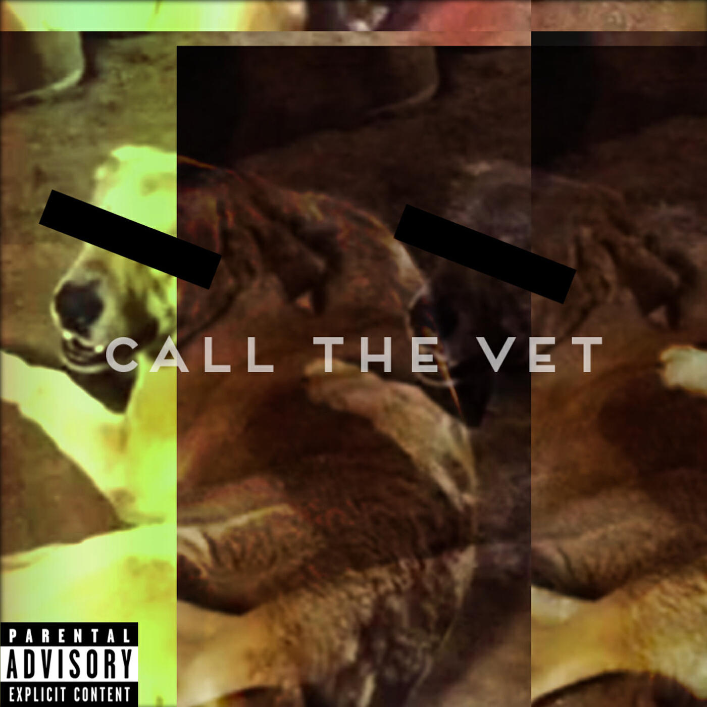 Релиз Call the Vet