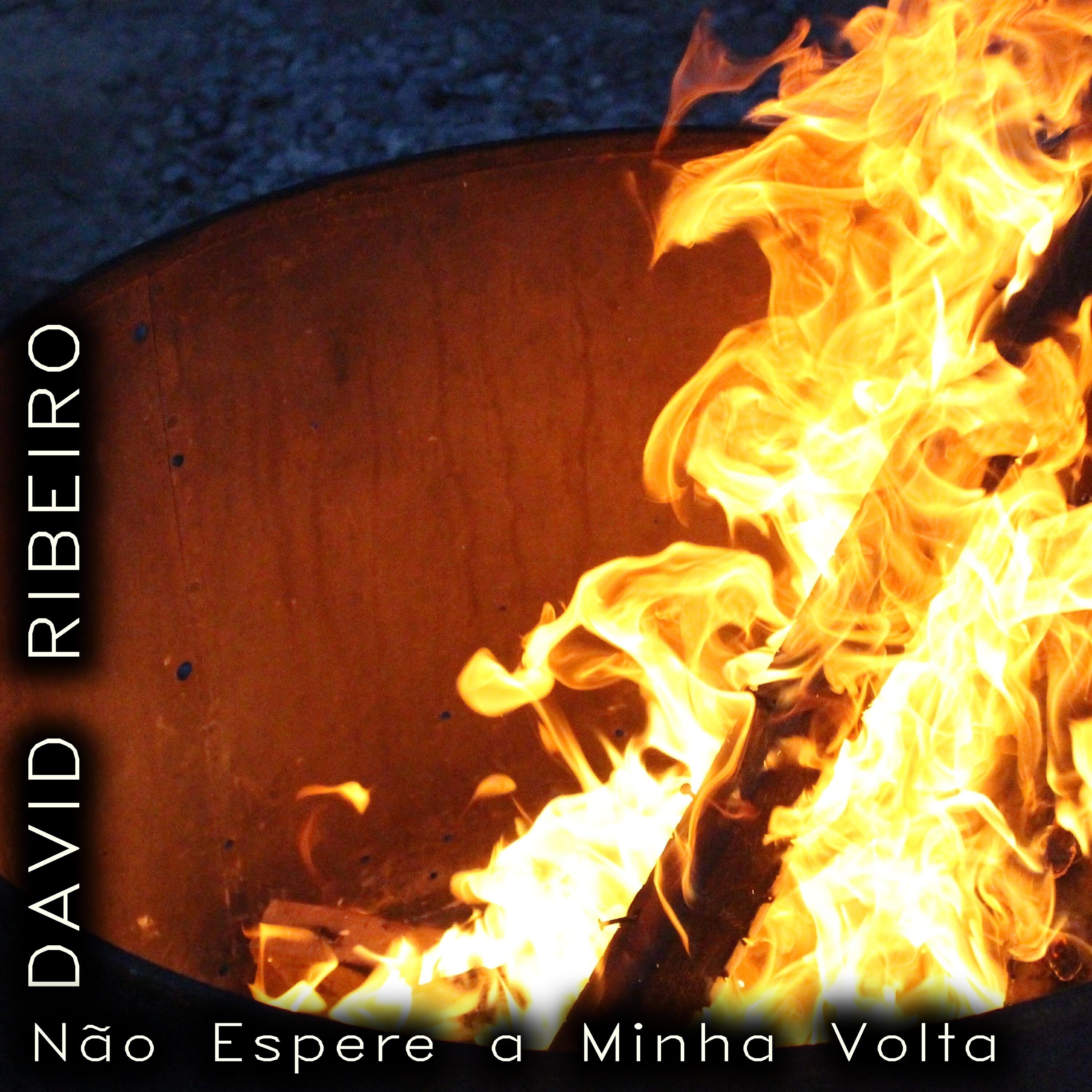 David Ribeiro