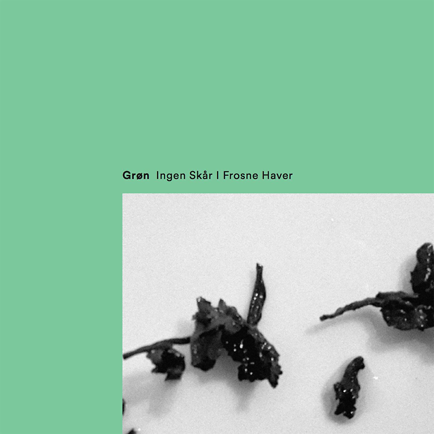 Релиз Ingen Skår I Frosne Haver