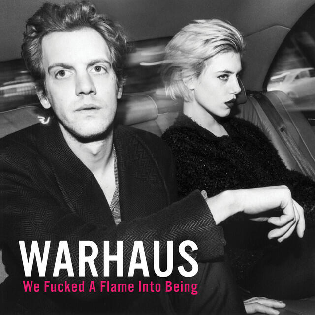 Релиз We Fucked a Flame Into Being