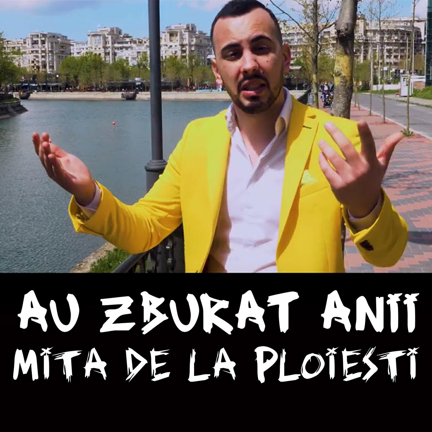 Релиз Au Zburat Anii