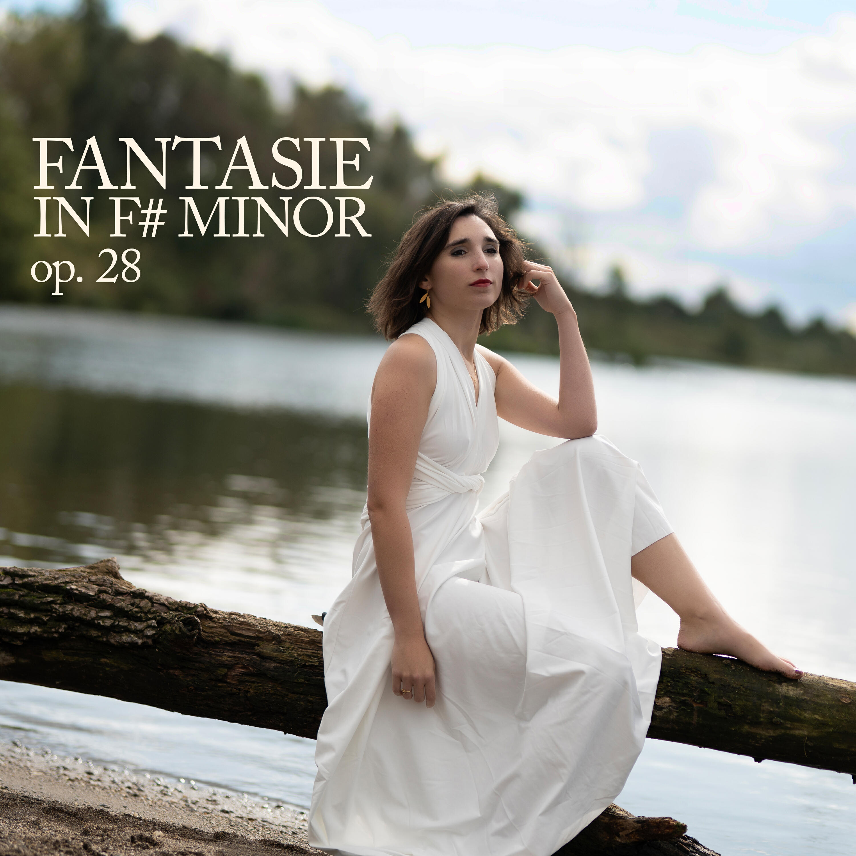 Постер альбома Felix Mendelssohn: Fantasie in F-Sharp Minor, Op. 28: II. Allegro con moto