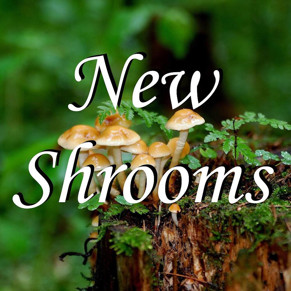Релиз New Shrooms