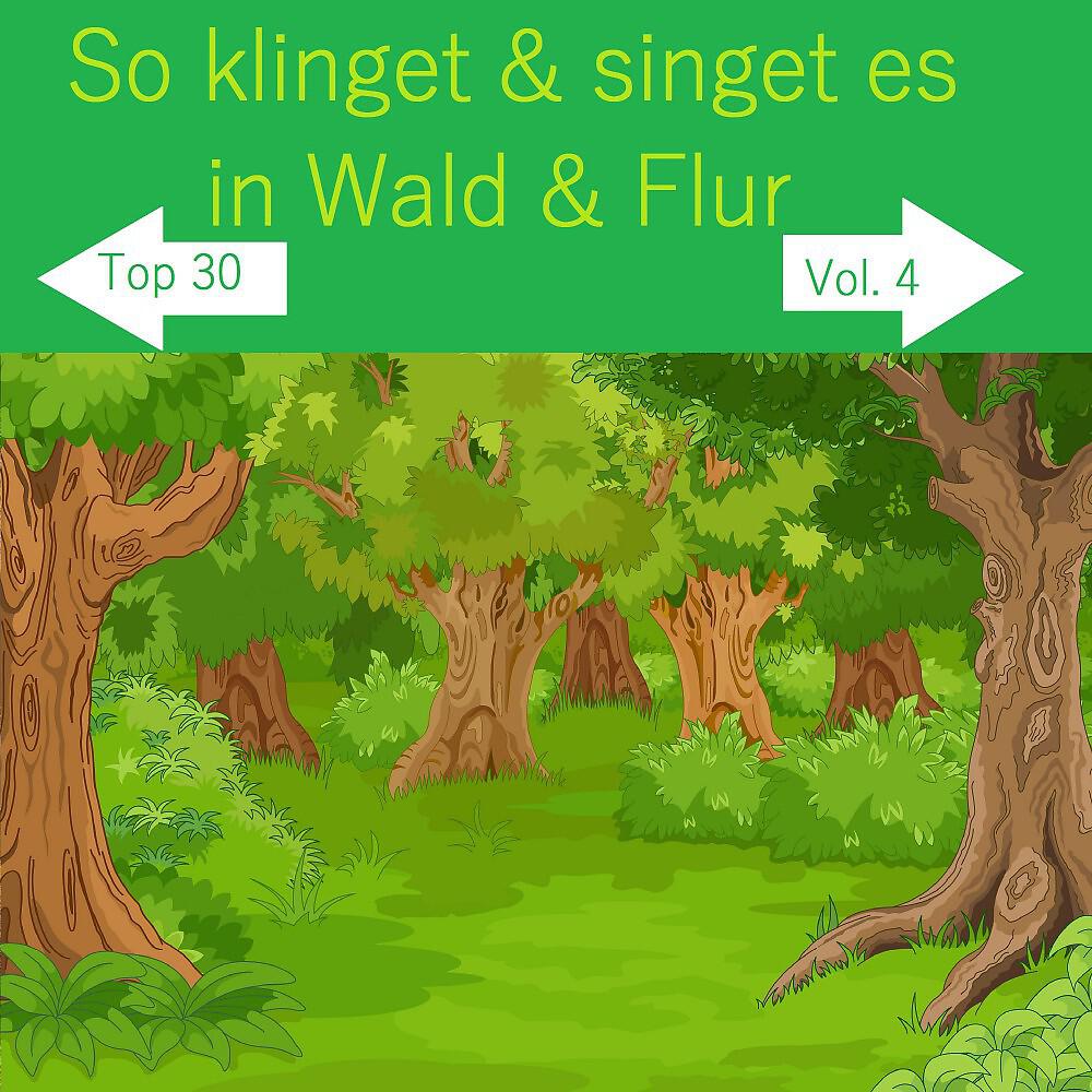 Релиз Top 30: So klinget & singet es in Wald & Flur, Vol. 4