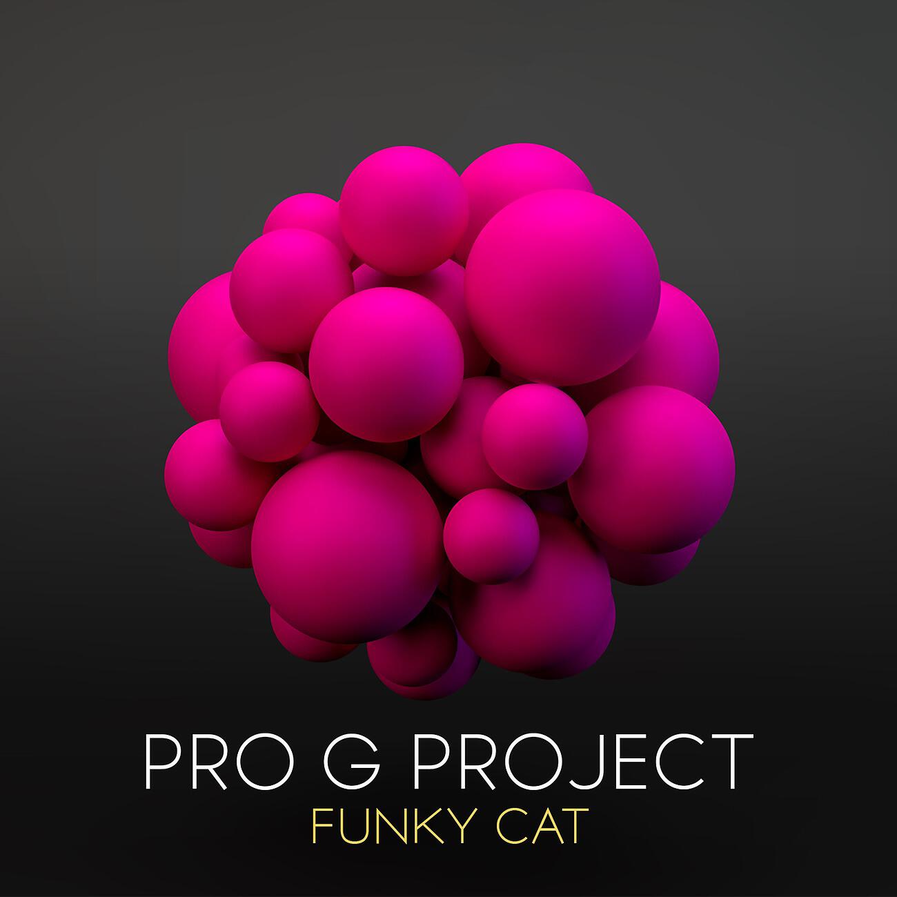 Pro G Project