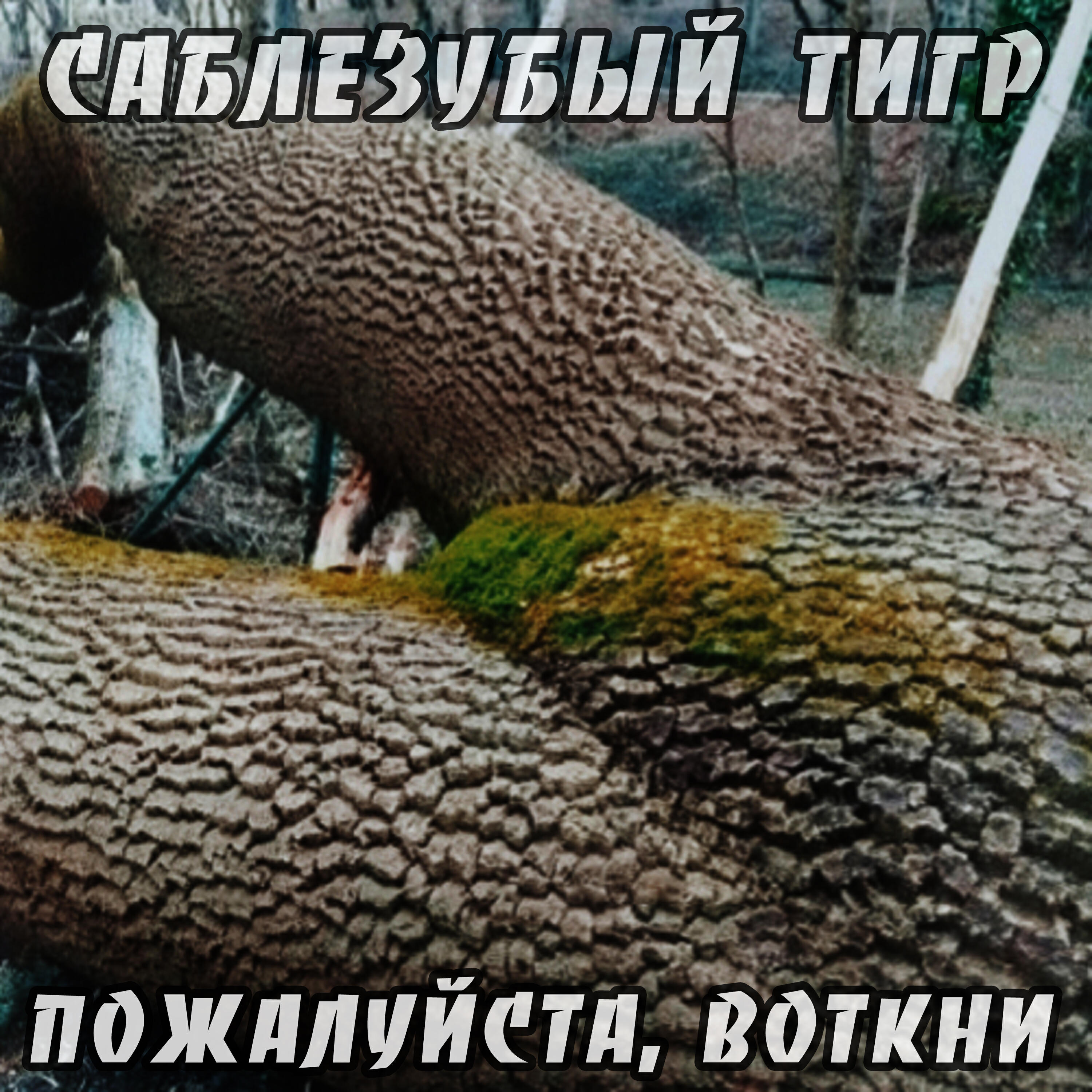 Релиз Пожалуйста, воткни