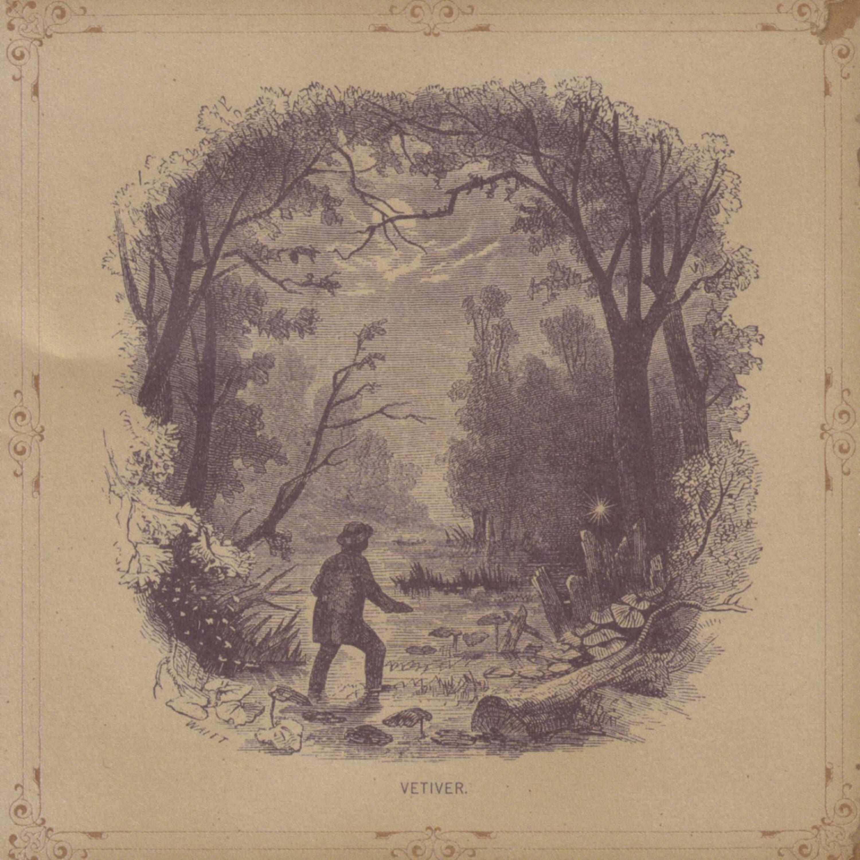 Релиз Vetiver