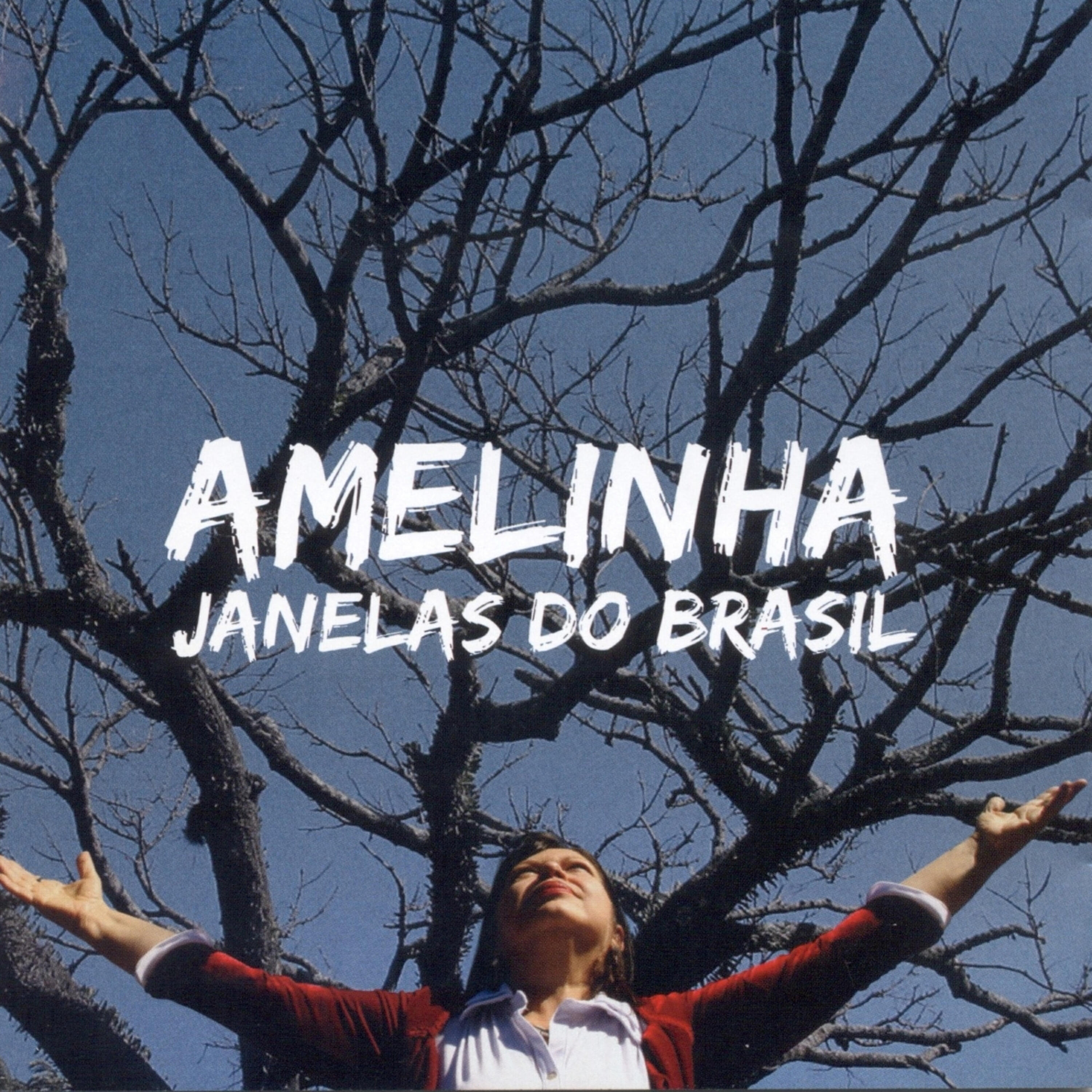 Релиз Janelas do Brasil