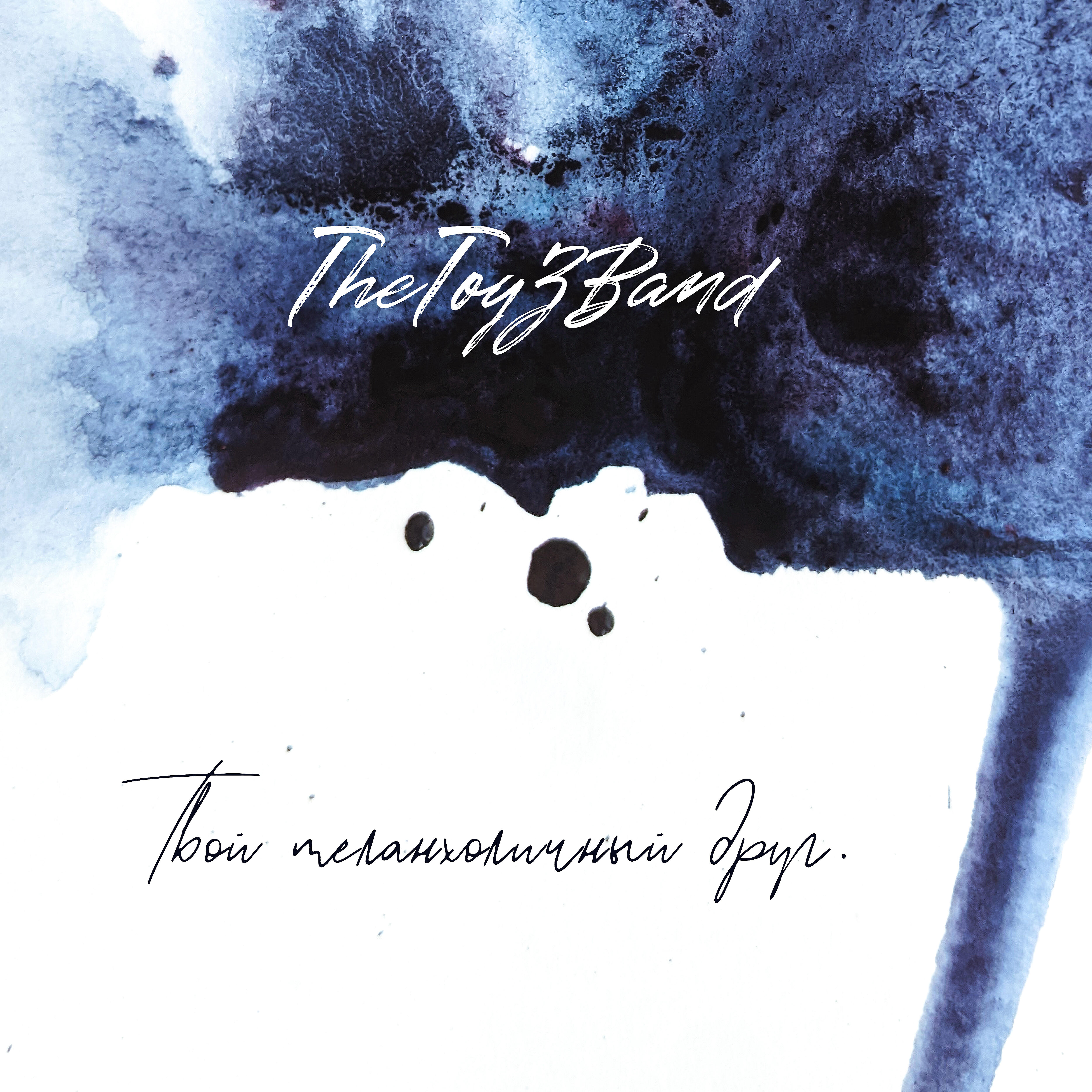 TheToyZBand