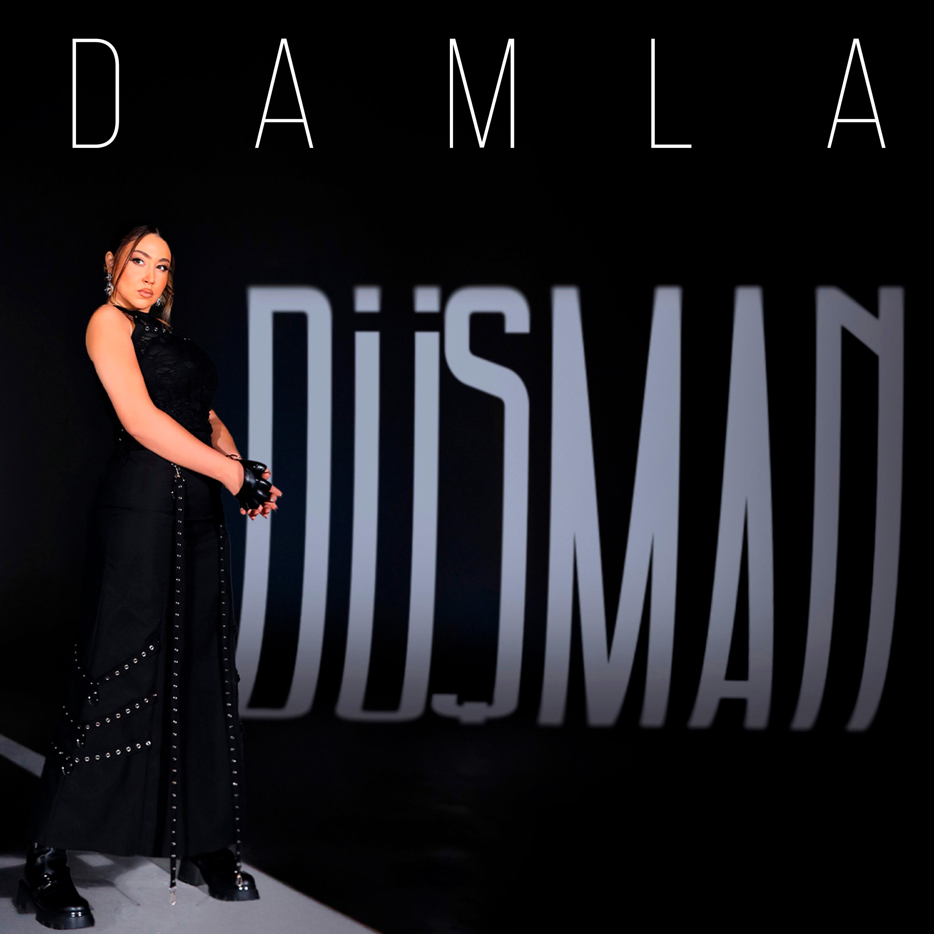 Постер альбома Düşman
