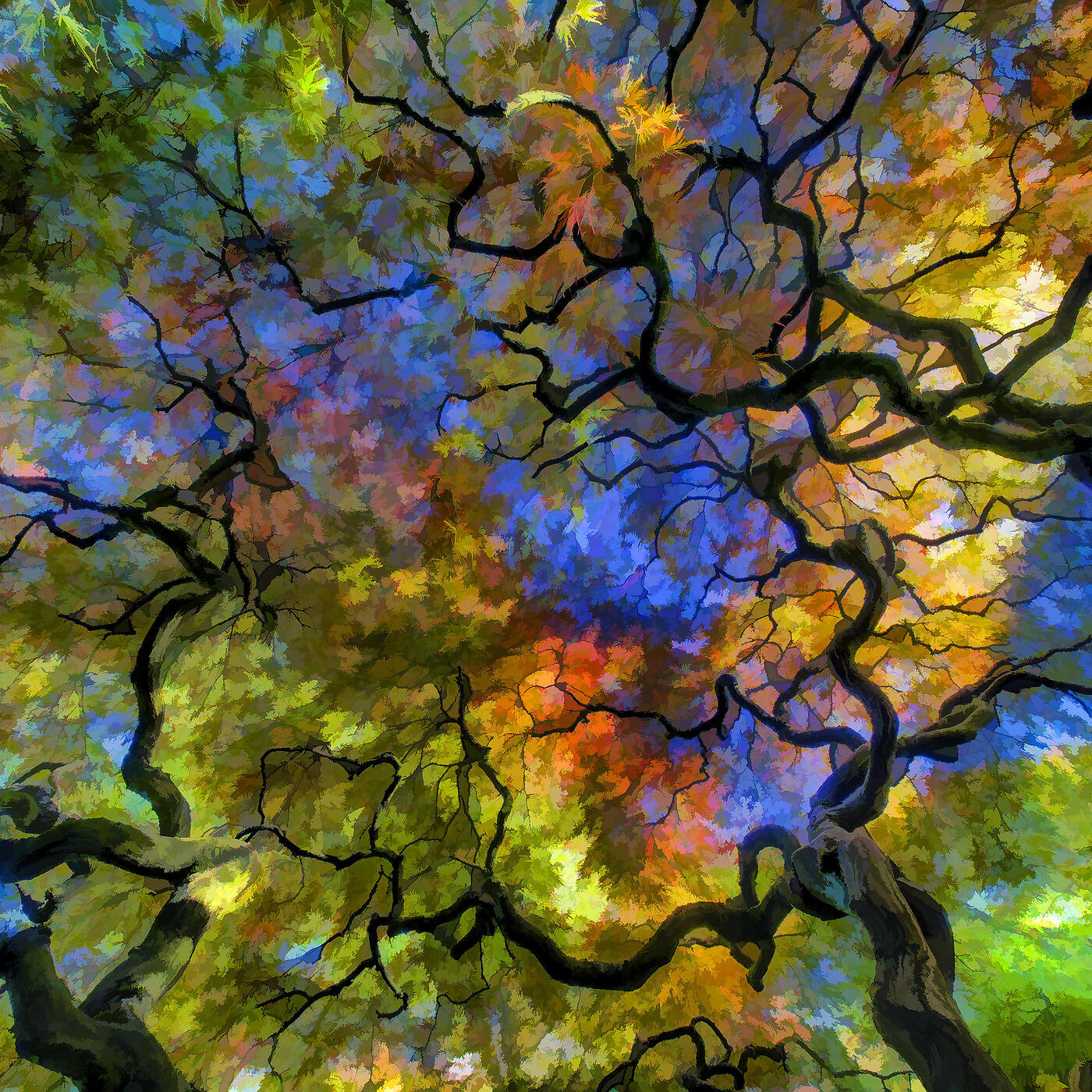 Релиз Starlight Grove