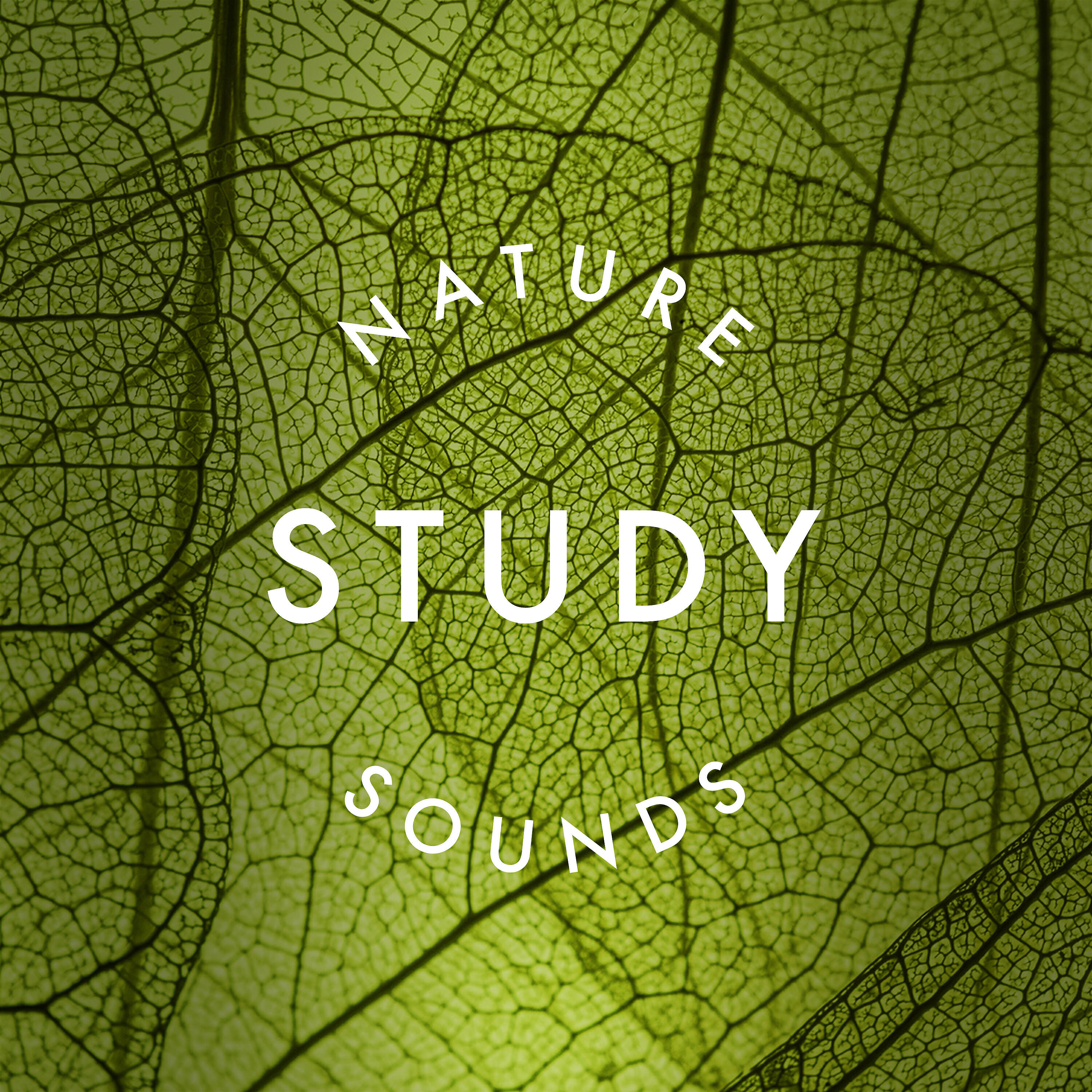 Релиз Study: Nature Sounds