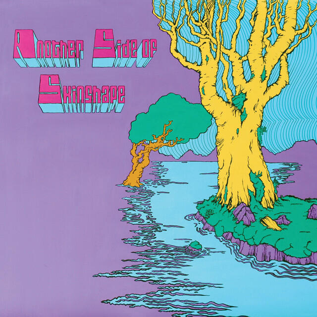 Релиз Another Side Of Skinshape