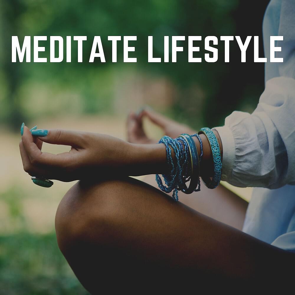 Релиз Meditate Lifestyle
