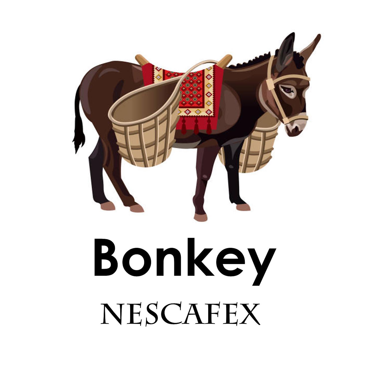 Релиз Bonkey