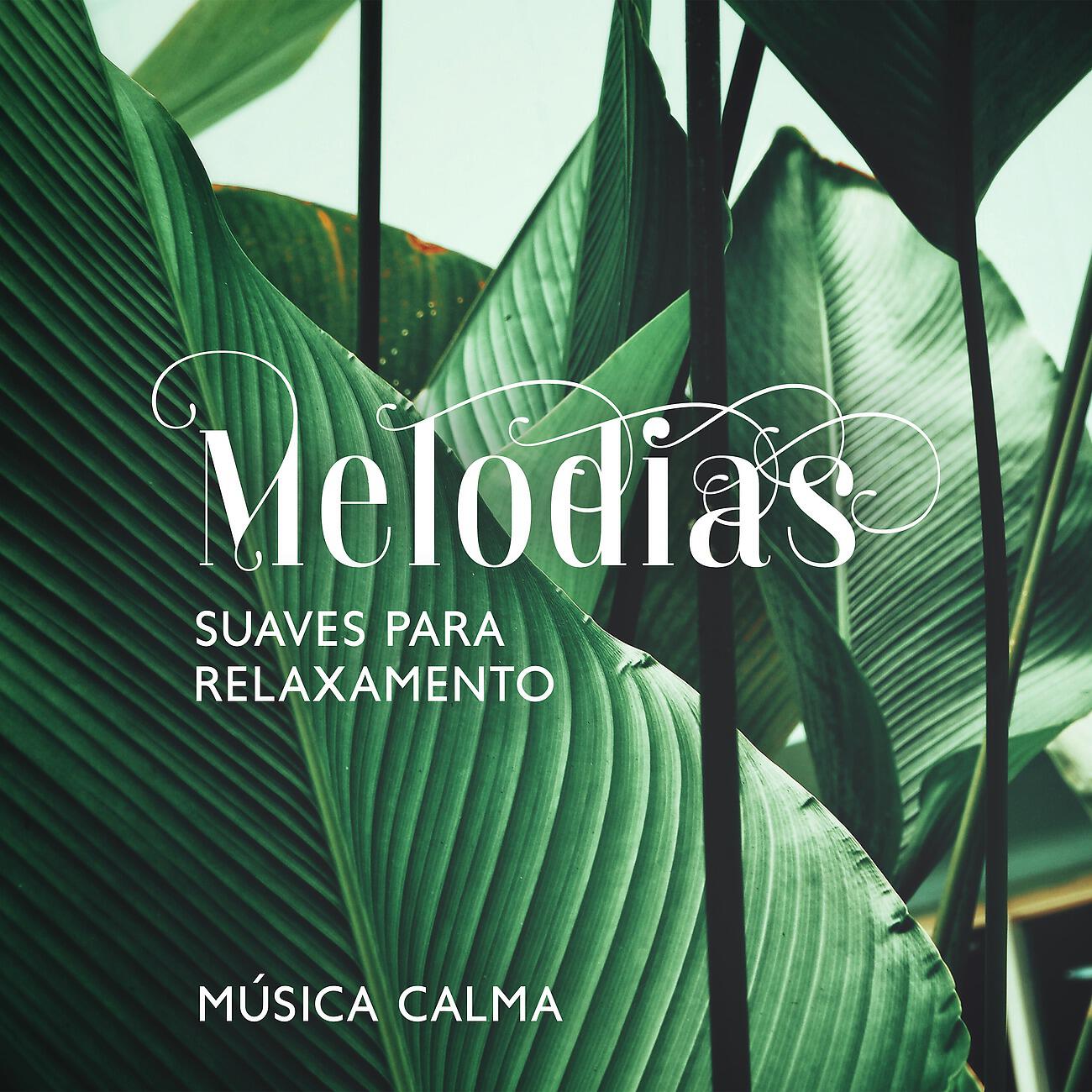 Релиз Melodias Suaves para Relaxamento