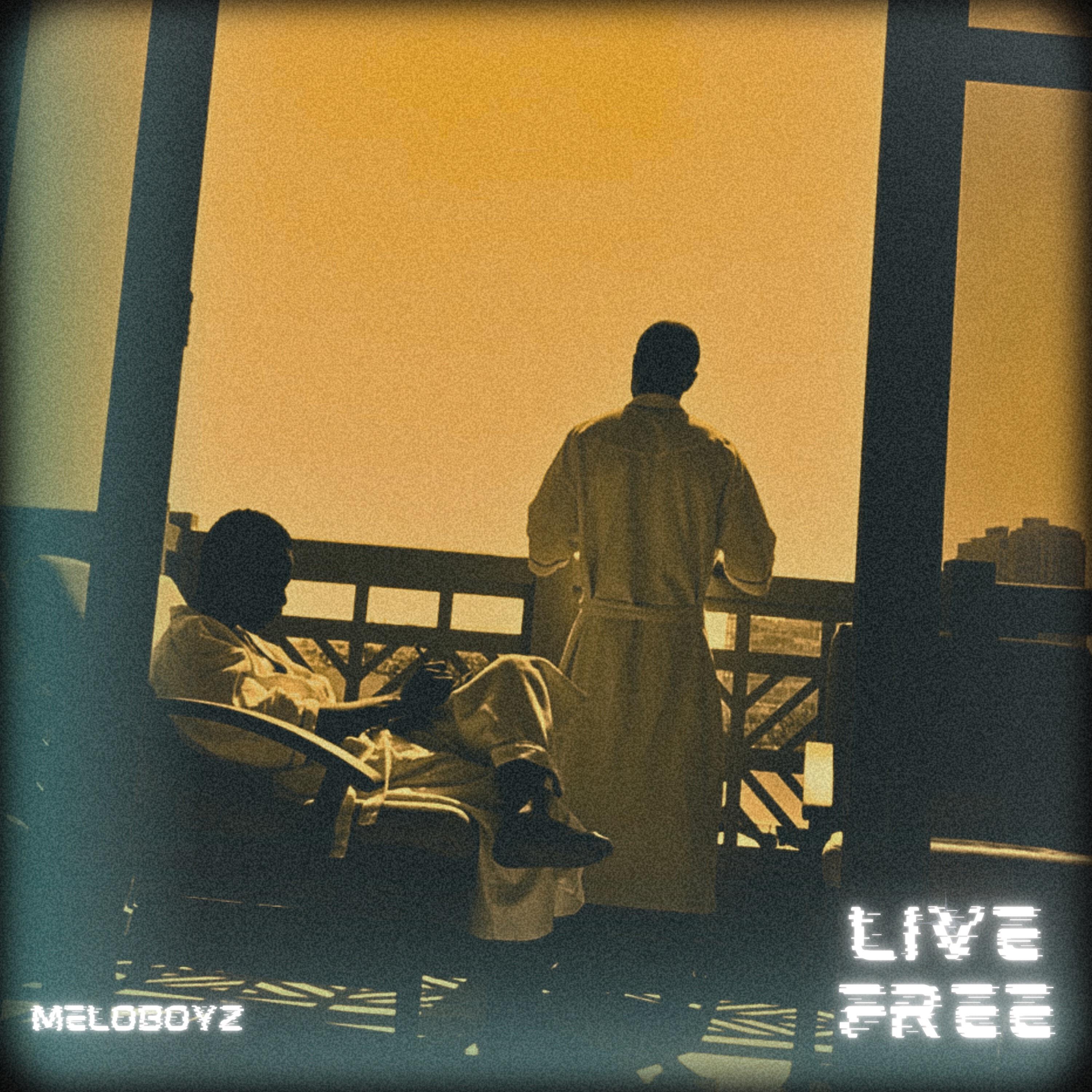 Meloboyz