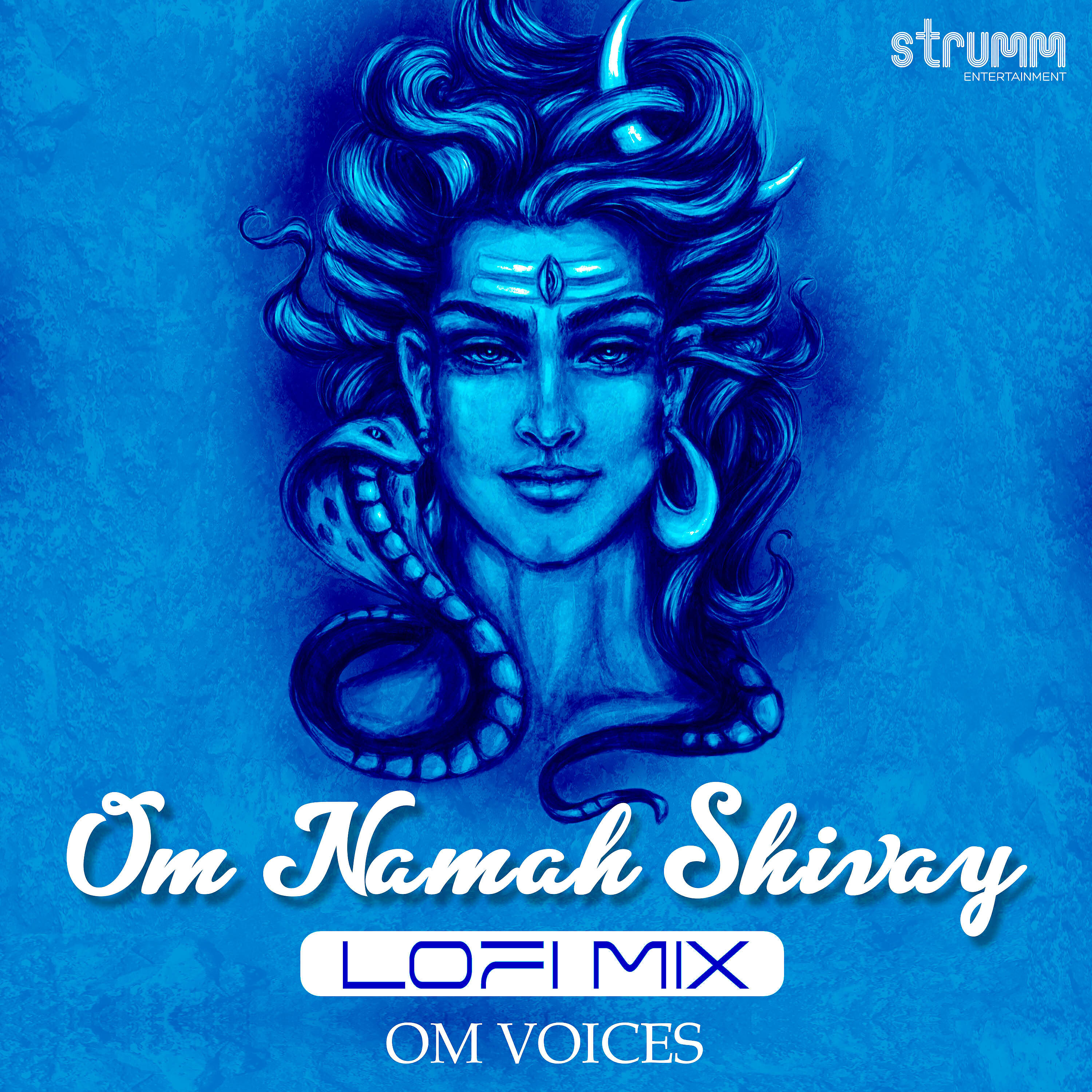 Релиз Om Namah Shivay (Lofi Mix)