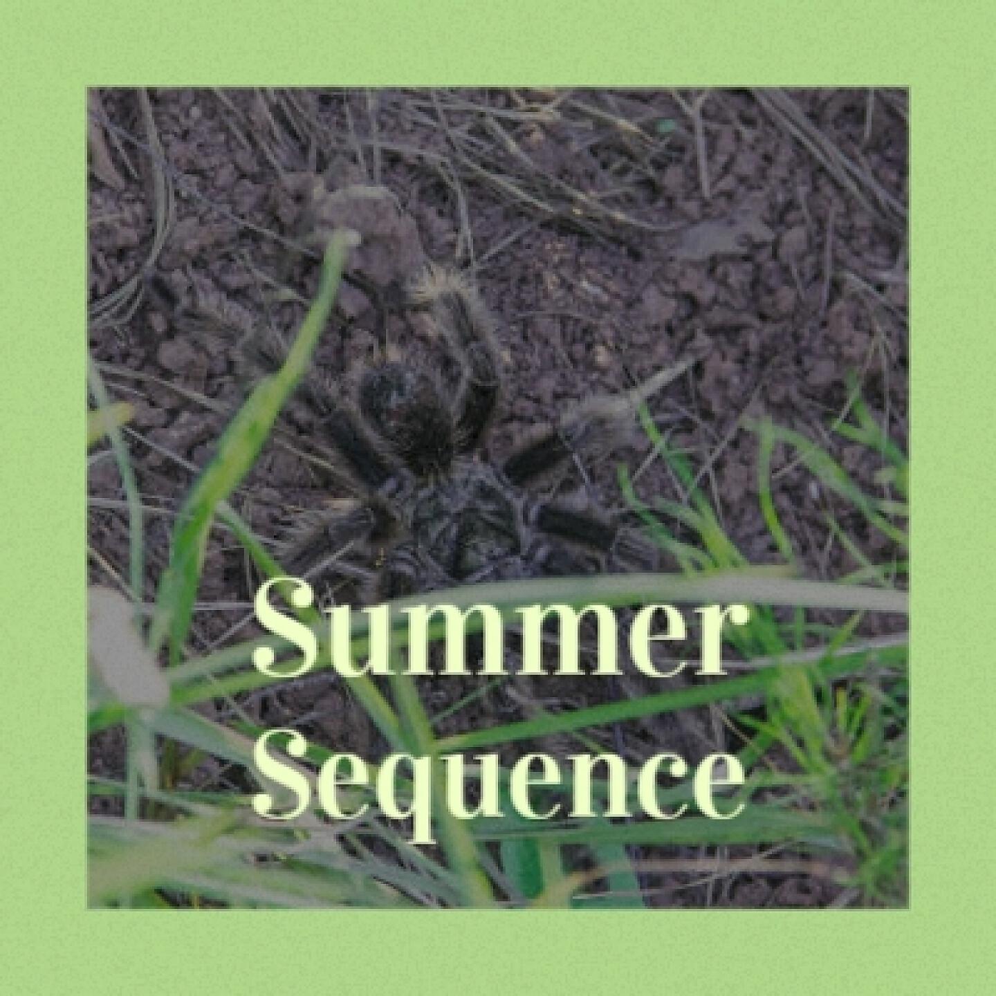 Релиз Summer Sequence